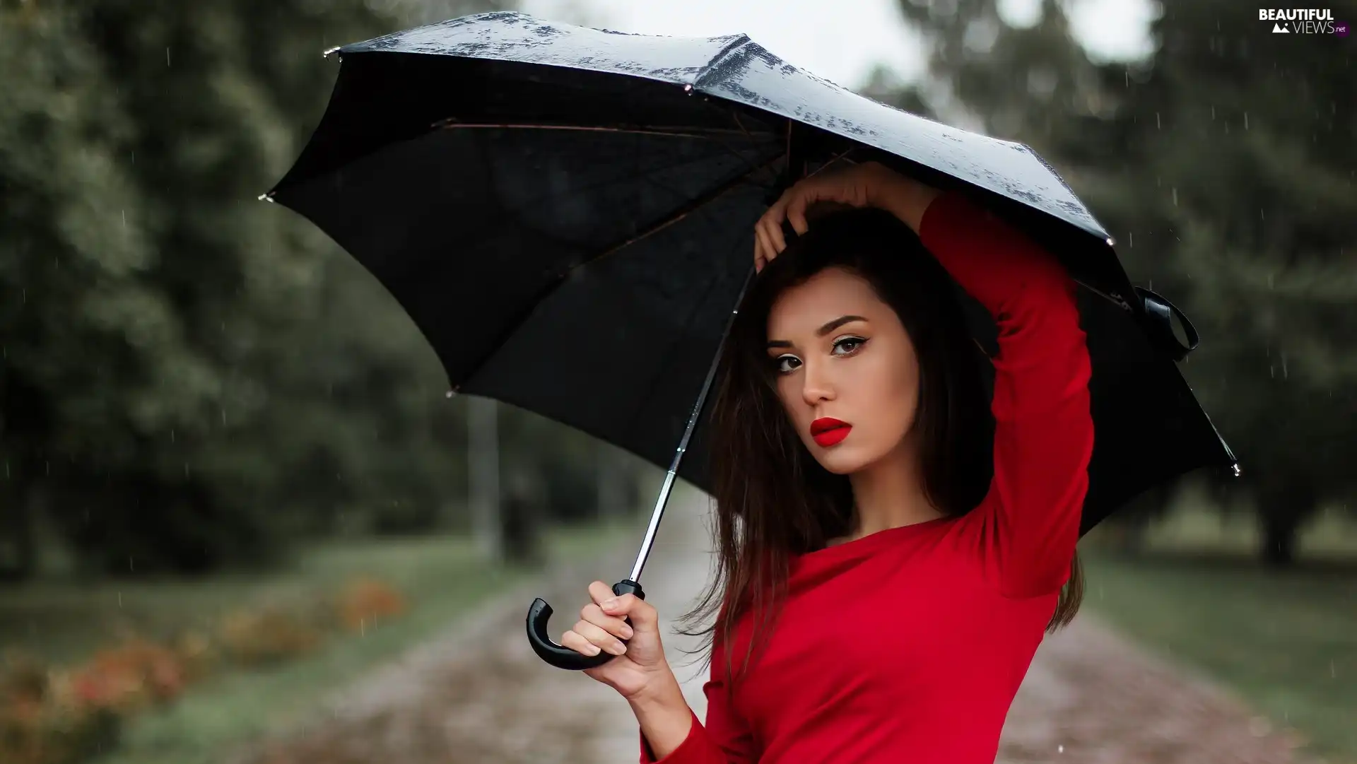 Umbrella, Women, Rain