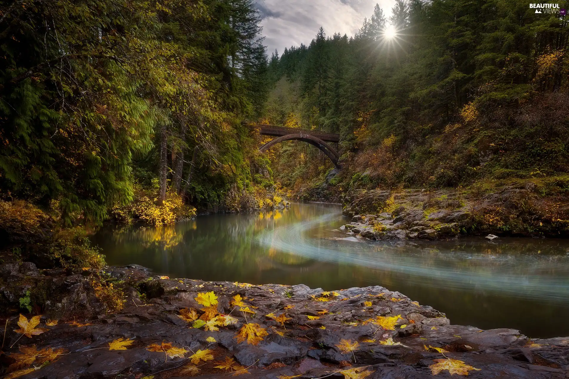 Autumn, forest, trees, viewes, Washington State, The United States, Moulton Falls Bridge, rocks, Lewis River