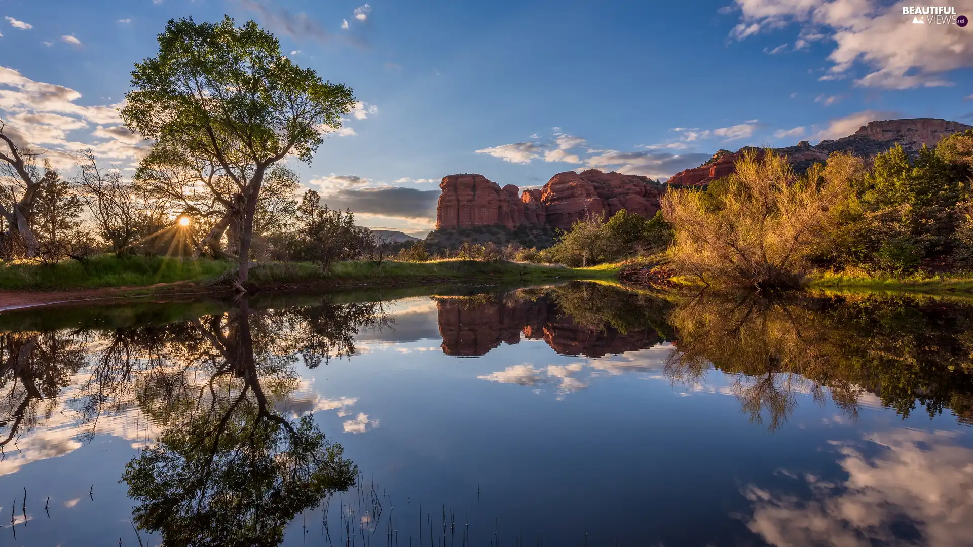 trees, lake, viewes, Bush, Arizona, The United States, reflection, Sedona, rocks
