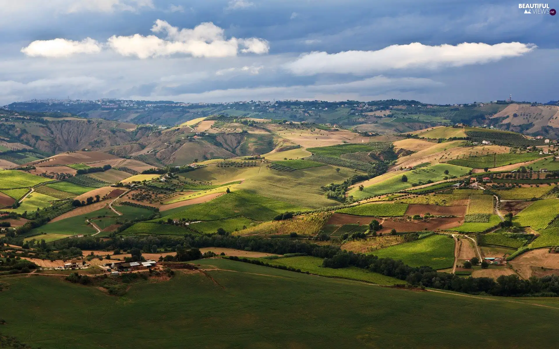 Upland, field, cultivated