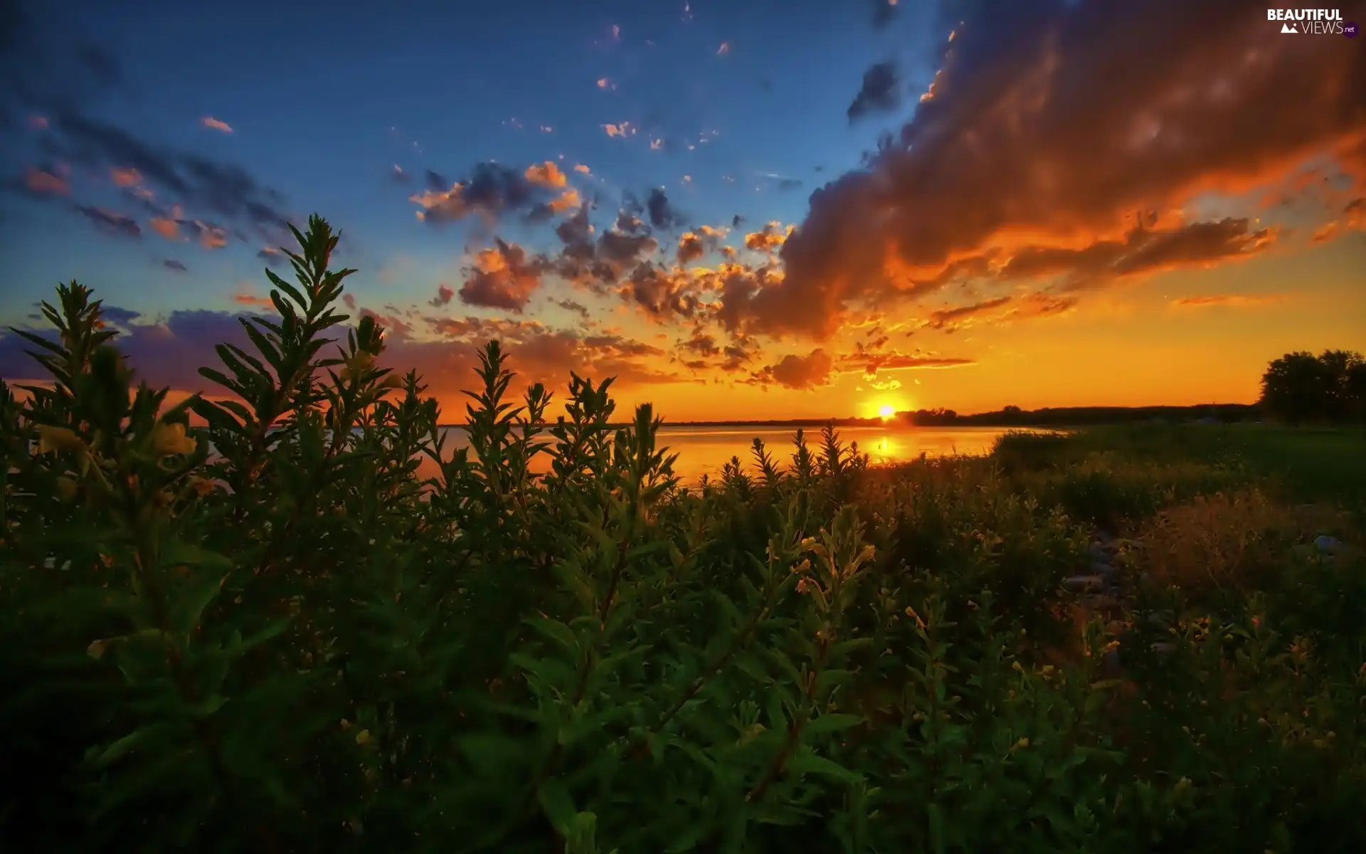 Lake Michigan, Great Sunsets, USA, clouds