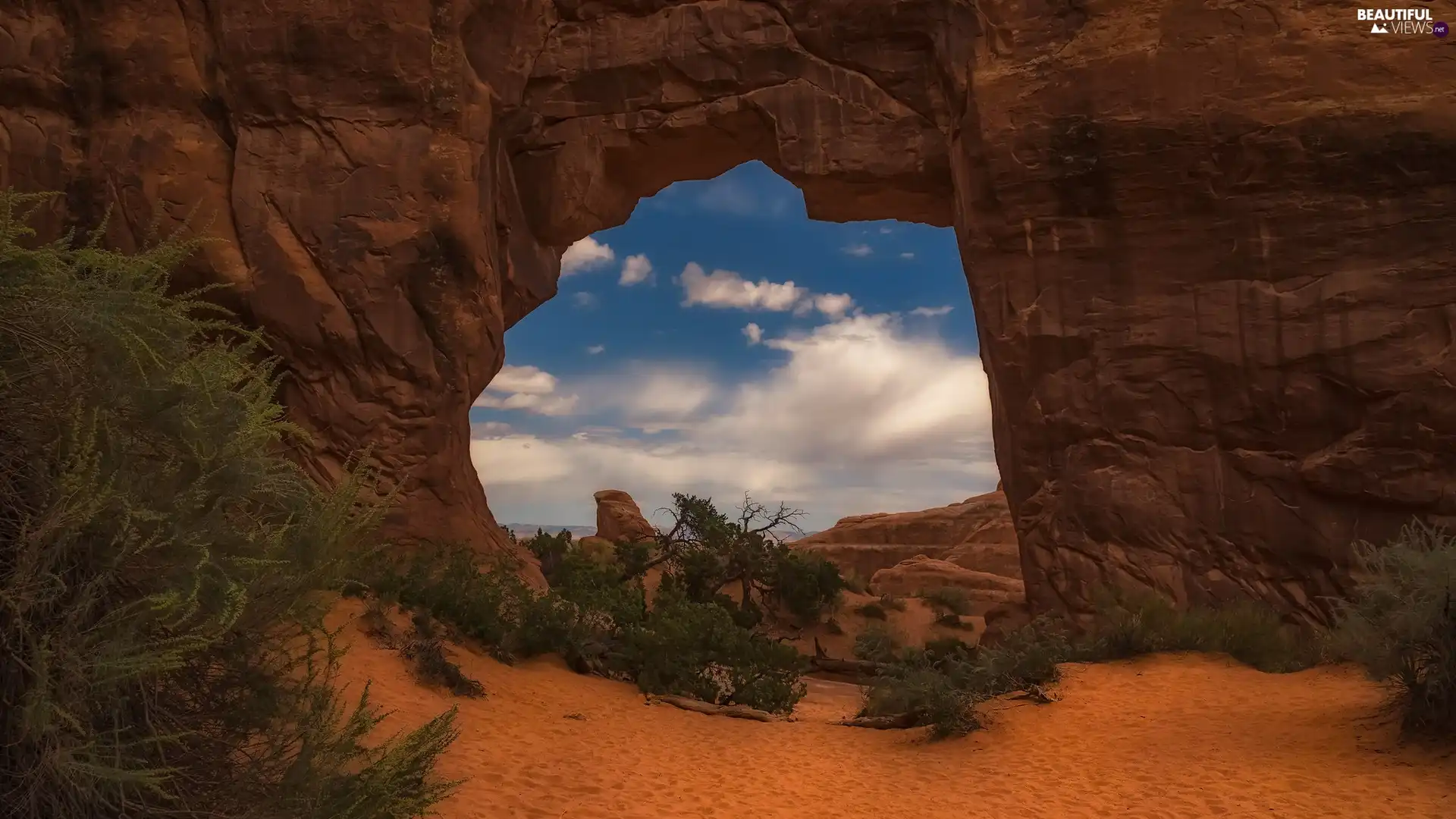Utah State, The United States, Plants, Arches National Park, rocks