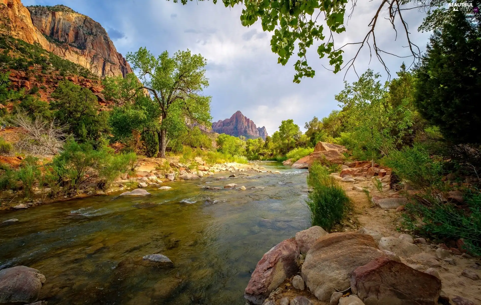 Virgin River, Stones, The United States, trees, Utah State, Watchman Mountains, Zion National Park, viewes