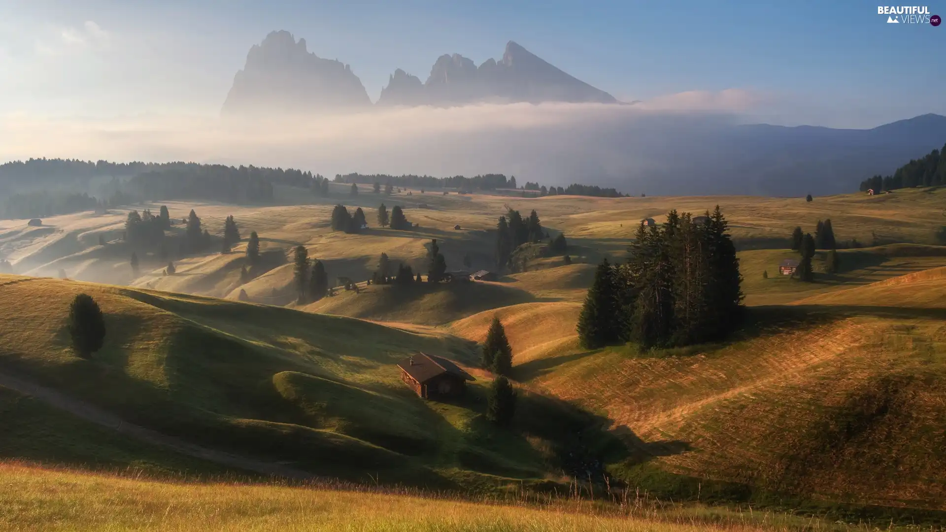 Houses, Sassolungo Mountains, The Hills, viewes, Val Gardena Valley, Seiser Alm Meadow, Dolomites, Italy, trees, Fog