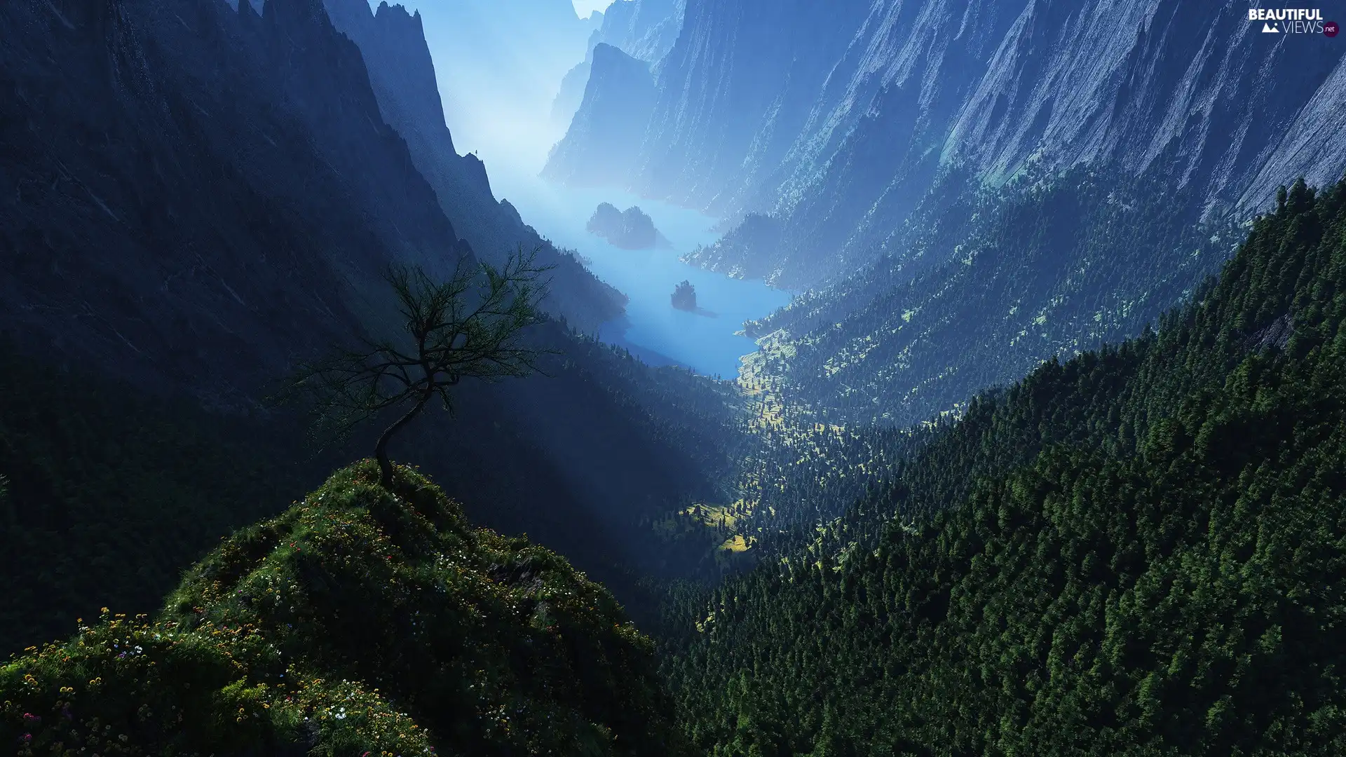 Valley, Mountains, forest