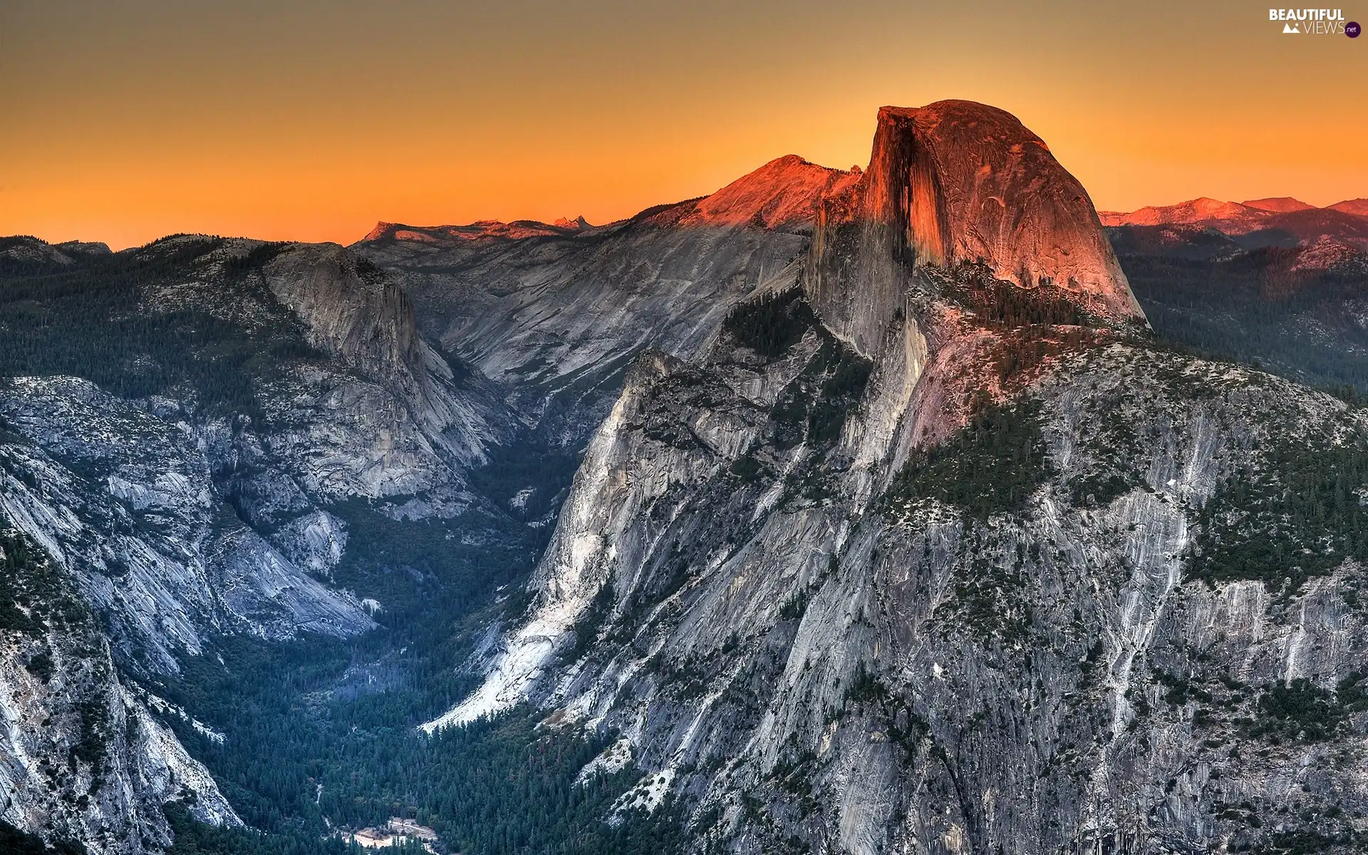 Mountains, forest, Valley, peaks