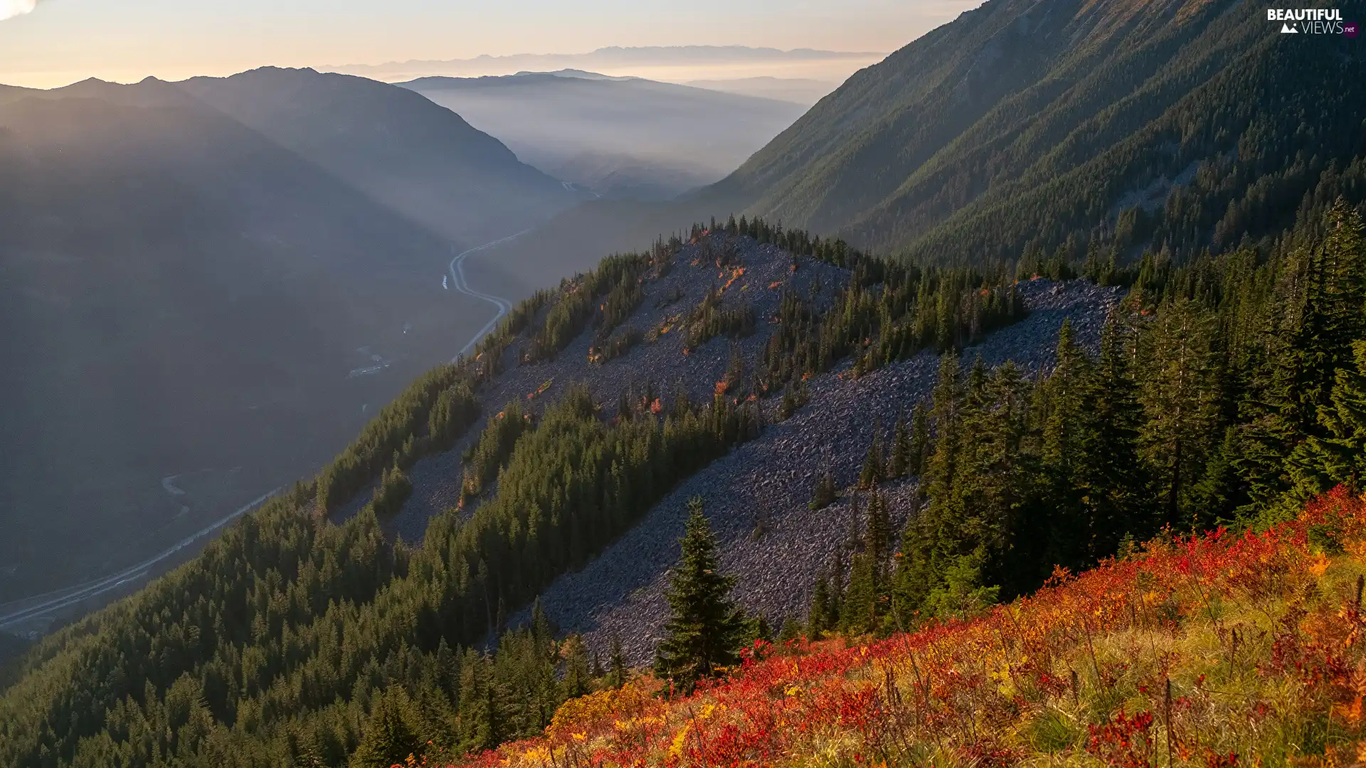 forested, The Hills, Valley, woods, Mountains