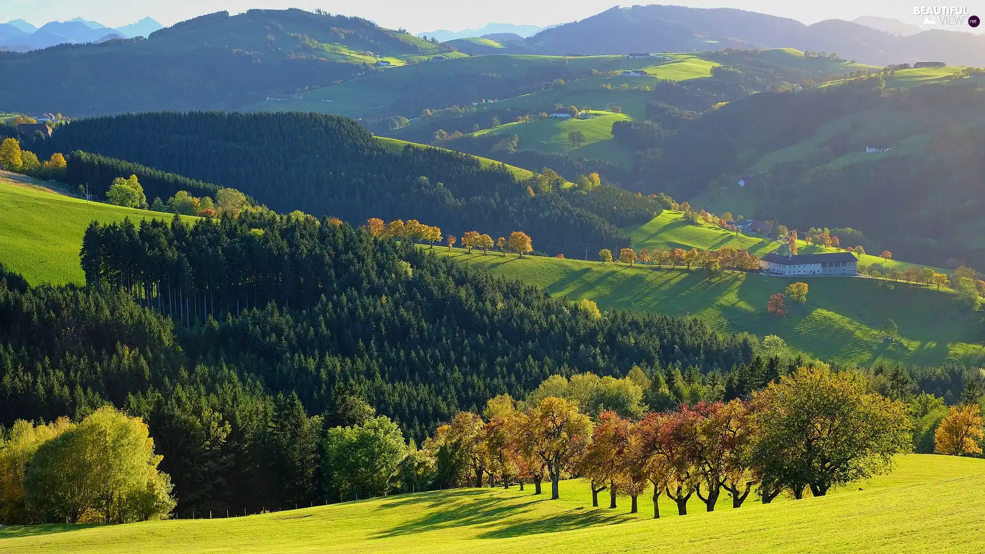 viewes, The Hills, Valley, trees, Mountains