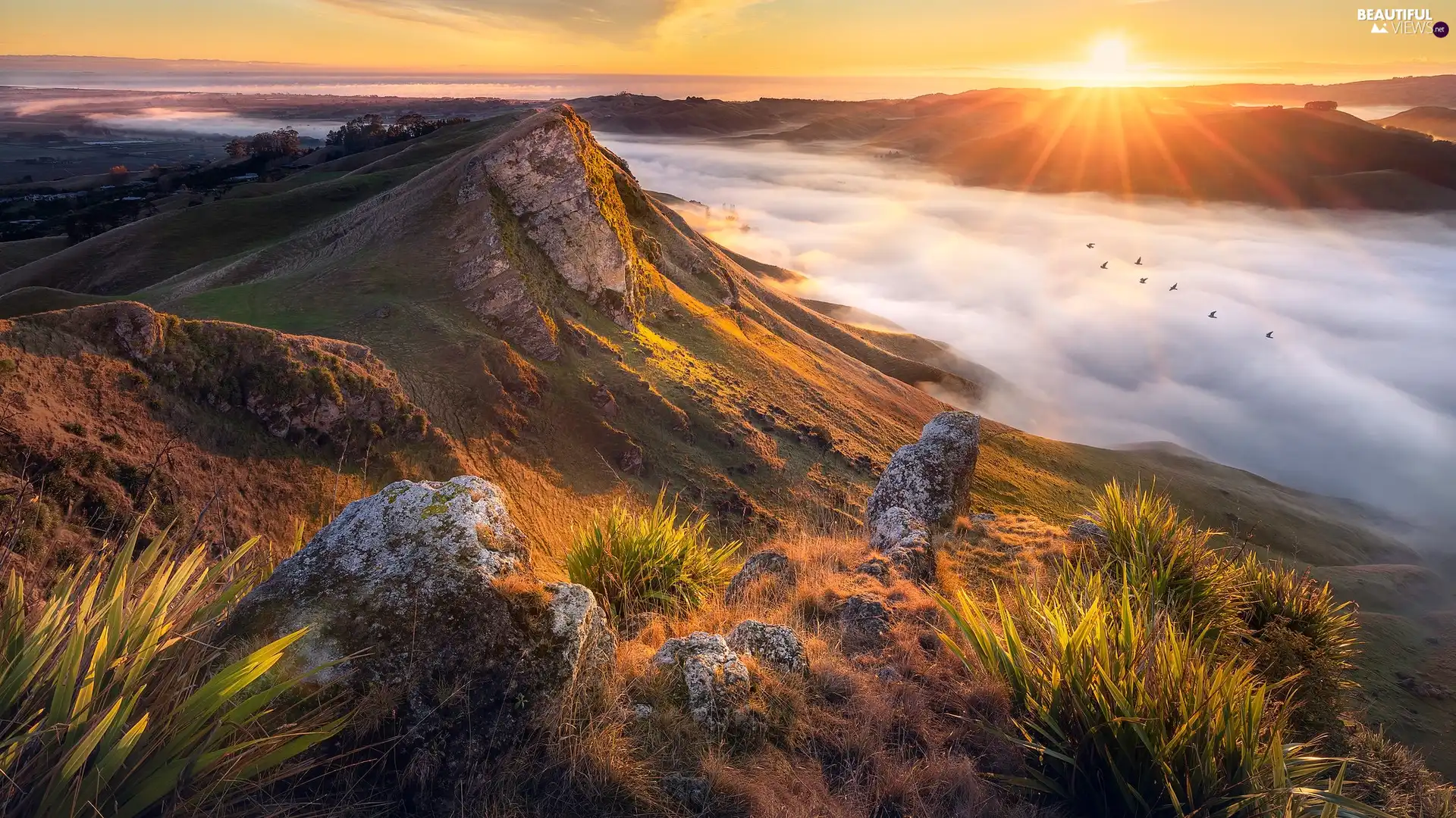 Tukituki River, Te Mata Peak, Fog, The Hills, Valley, Hawkes Bay, New Zeland, Sunrise