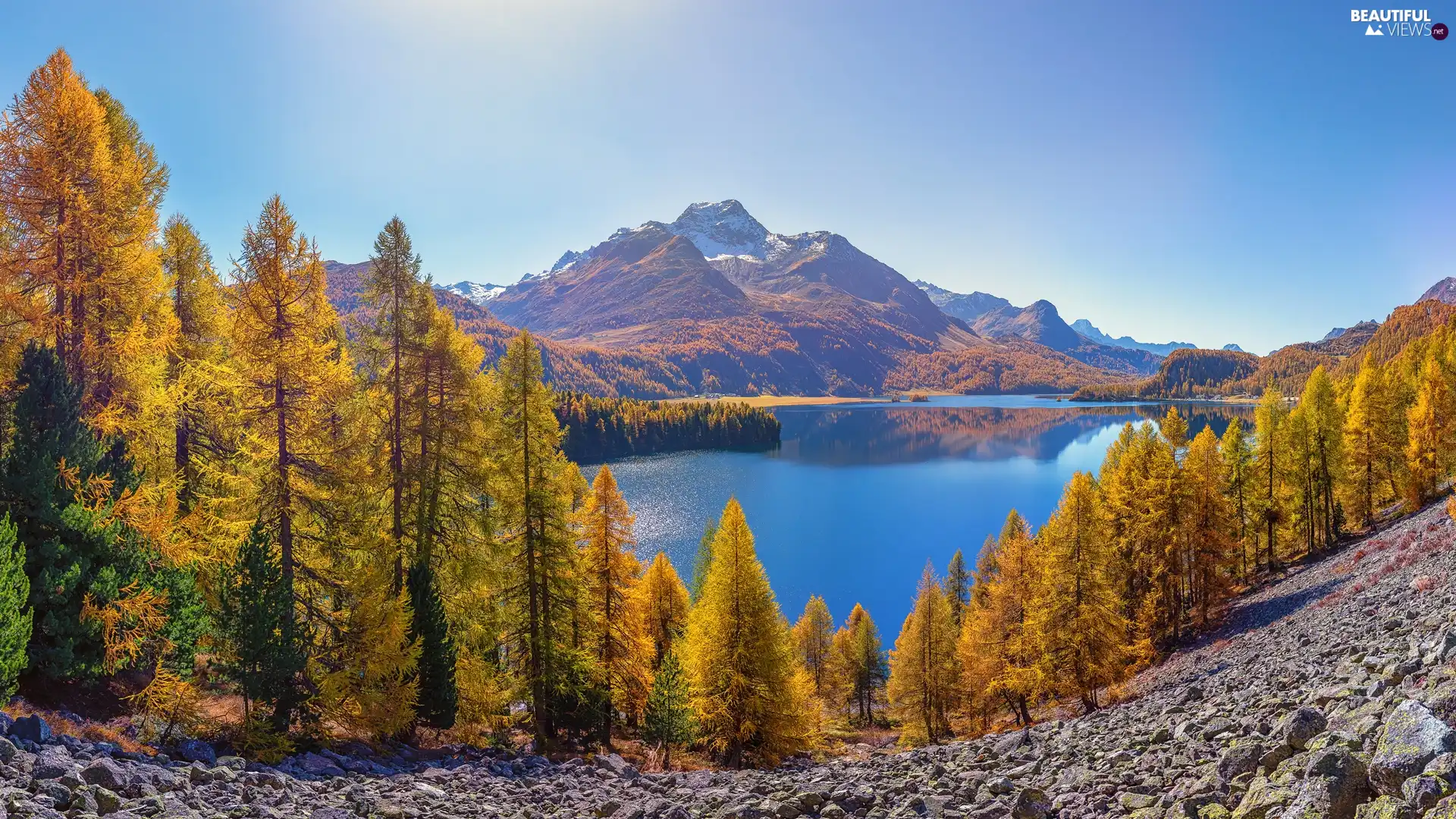 autumn, Alps Mountains, trees, viewes, Canton Graubunden, Switzerland, Lake Silsersee, Piz da la Margna Peak, Engadin Valley