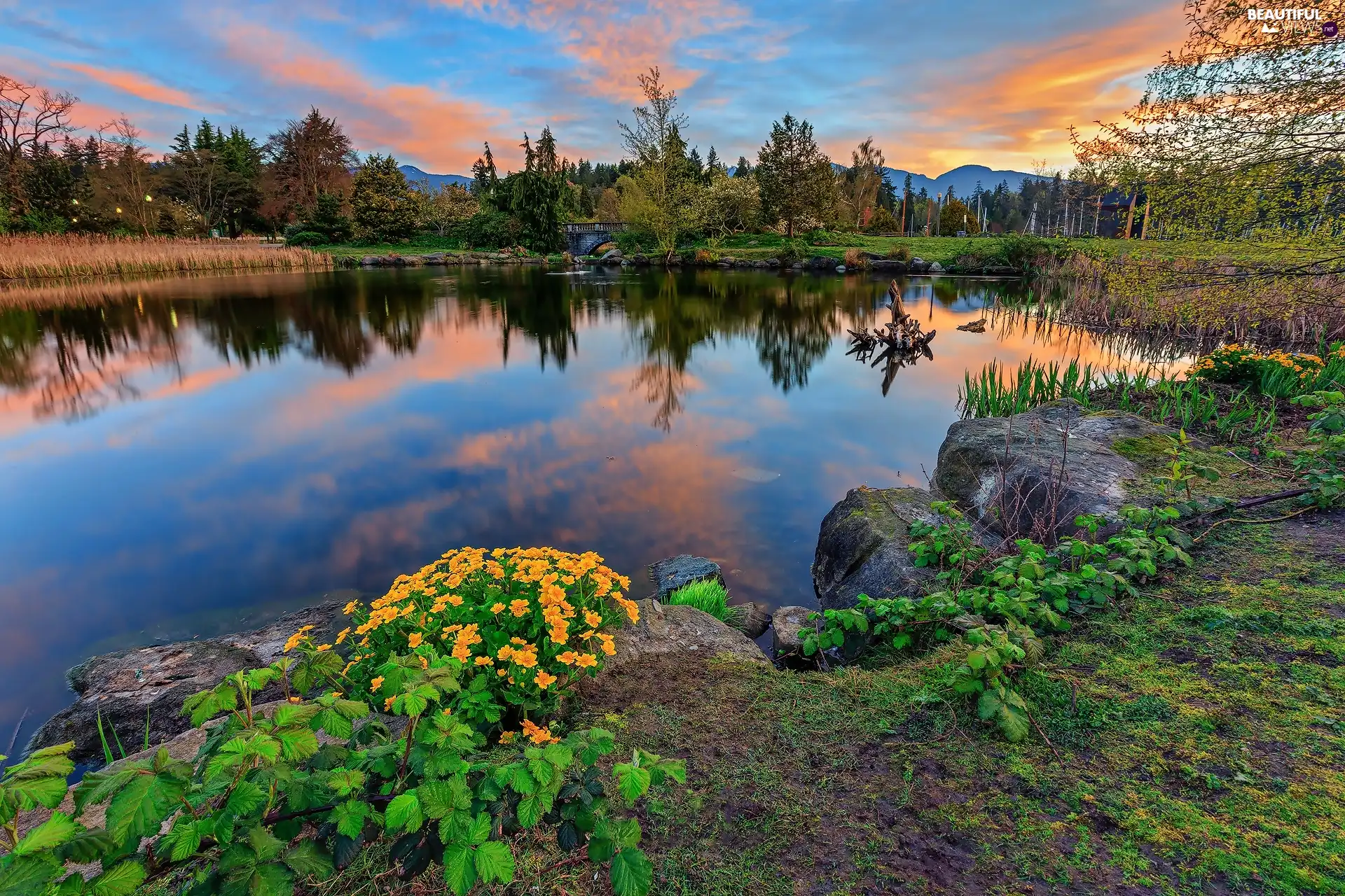 Stanley Park, City Park, lake, trees, Vancouver, Canada, Flowers, clouds, viewes