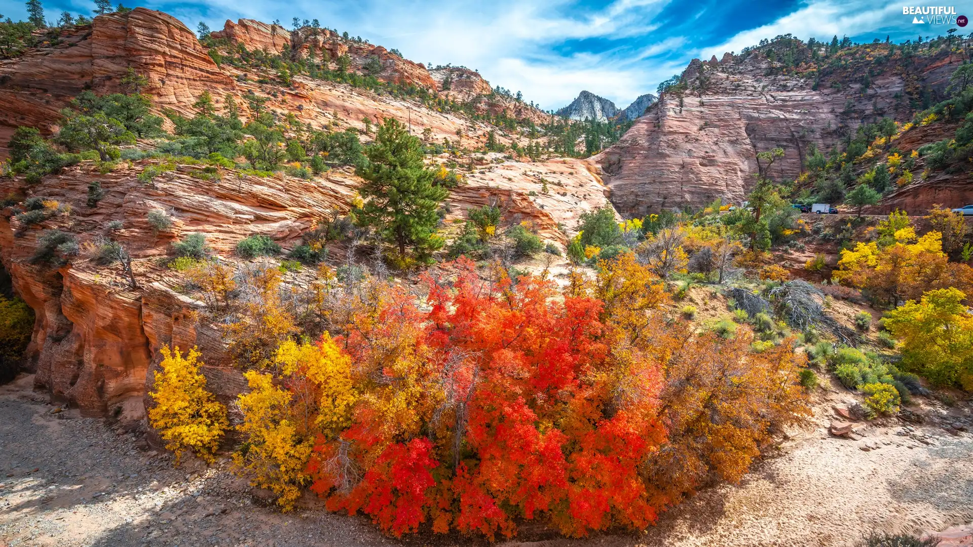 Zion National Park, The United States, VEGETATION, autumn, rocks, Utah State