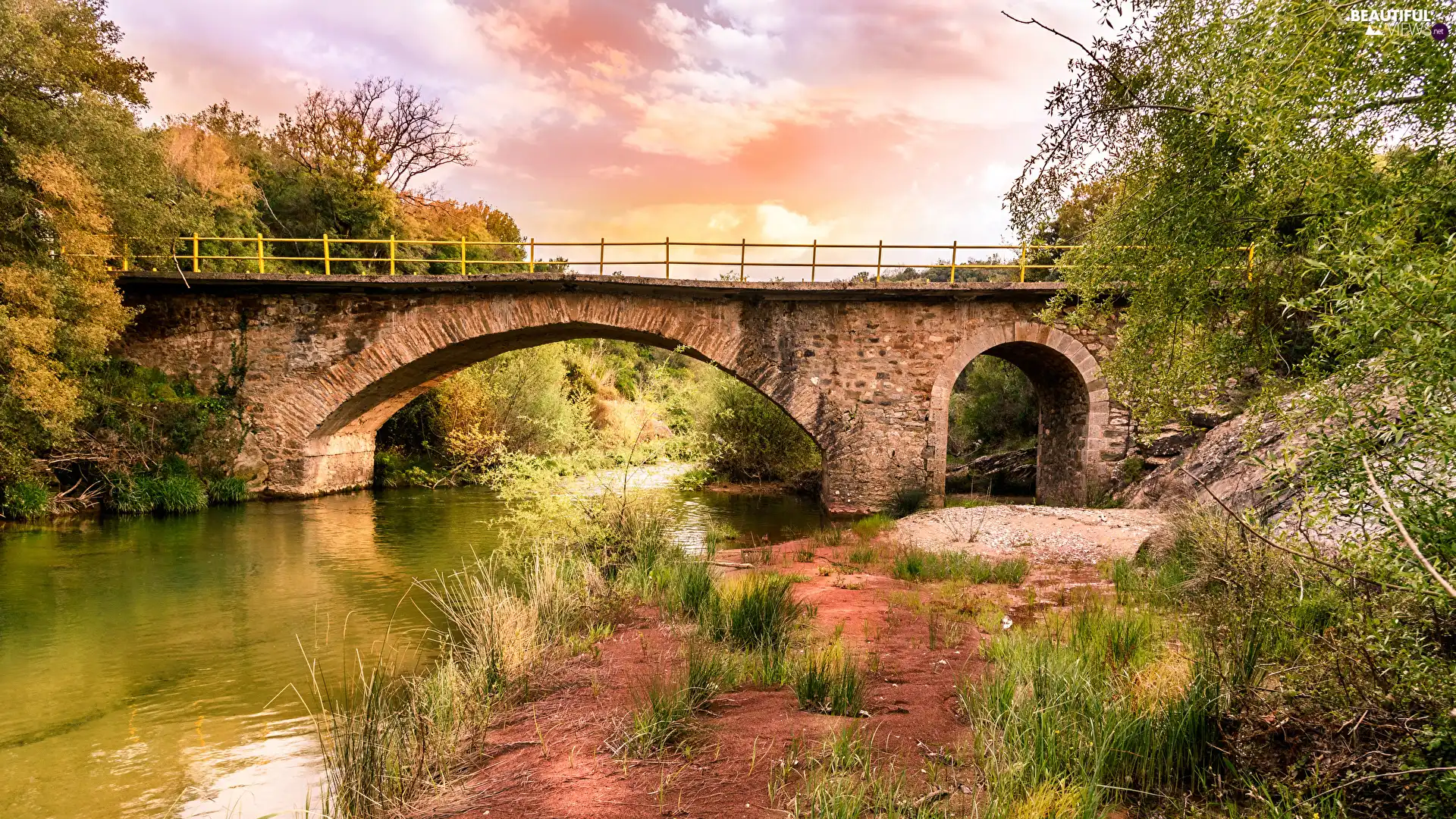 trees, River, grass, VEGETATION, viewes, bridge