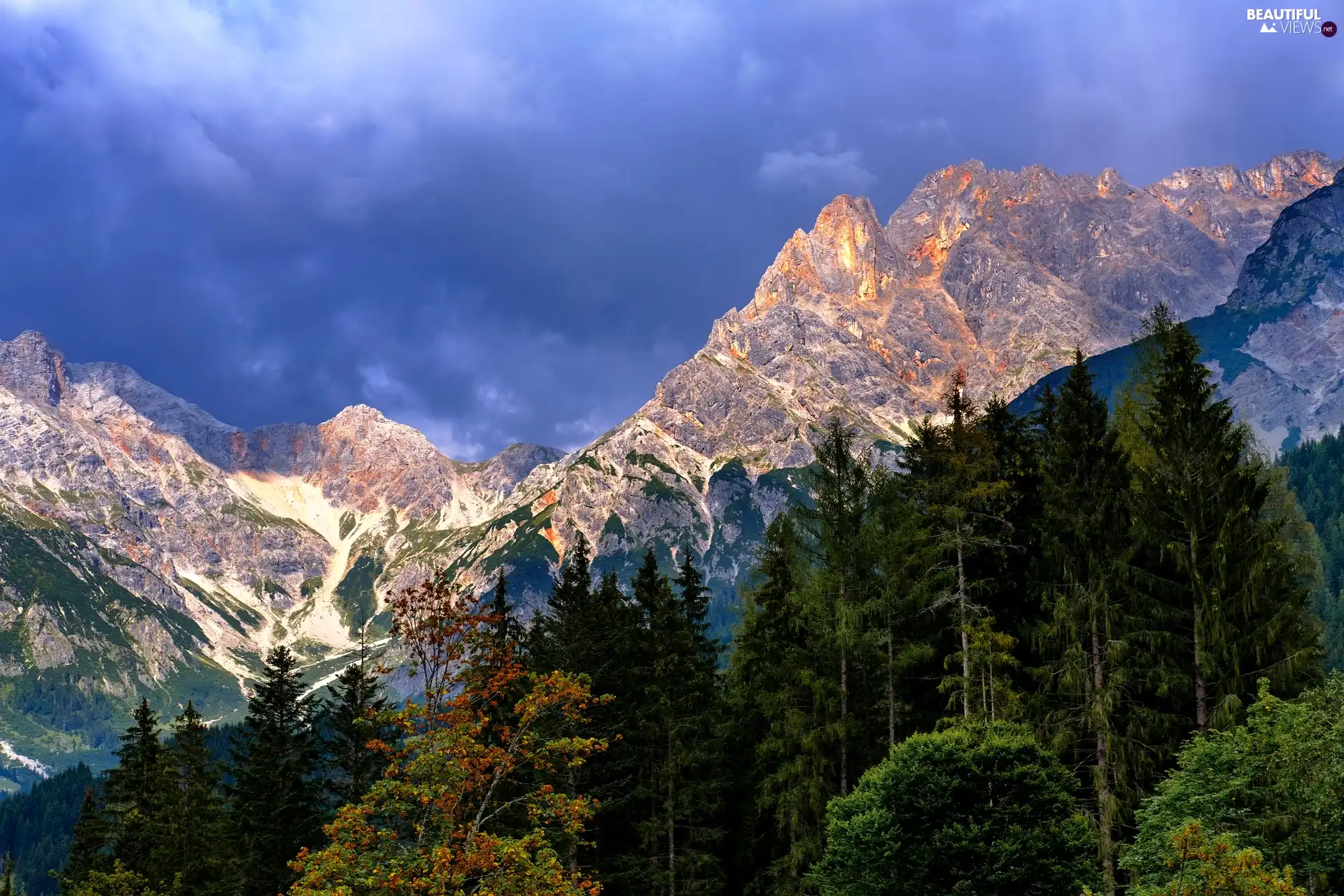 trees, peaks, clouds, VEGETATION, Mountains, viewes, Sky