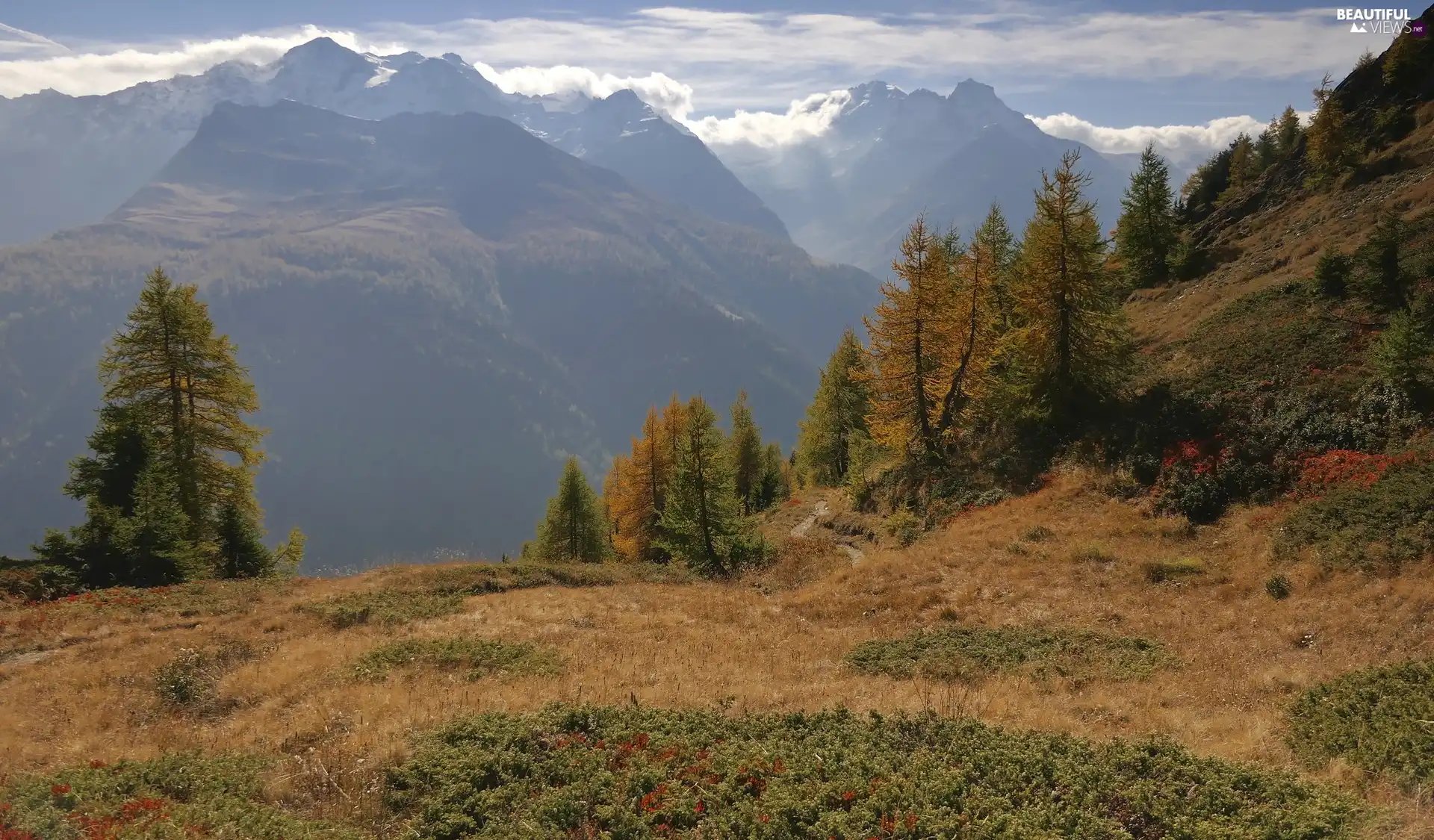 Mountains, Sky, viewes, VEGETATION, trees, clouds