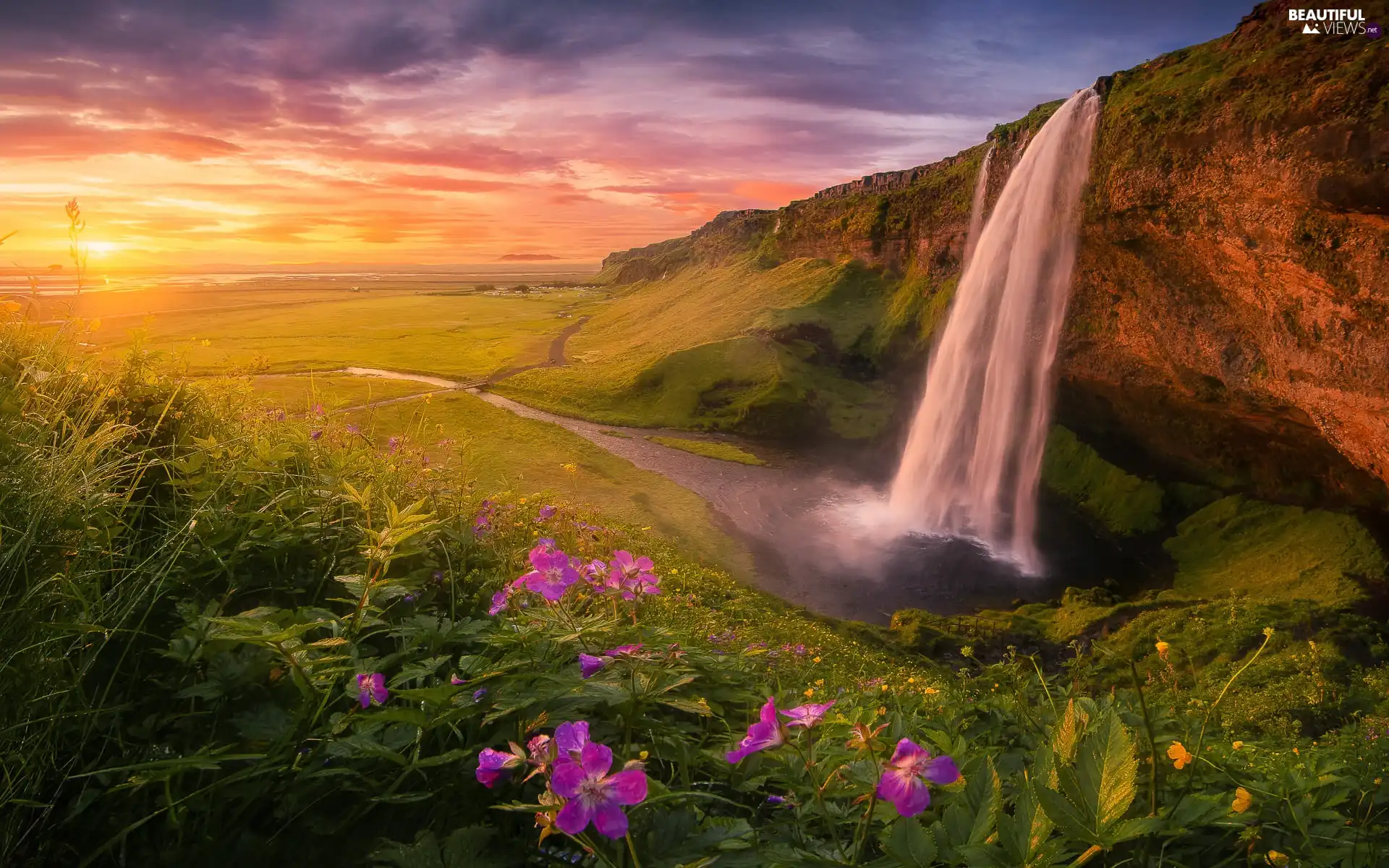 VEGETATION, Seljalandsfoss Waterfall, clouds, Flowers, rocks, Great Sunsets, iceland