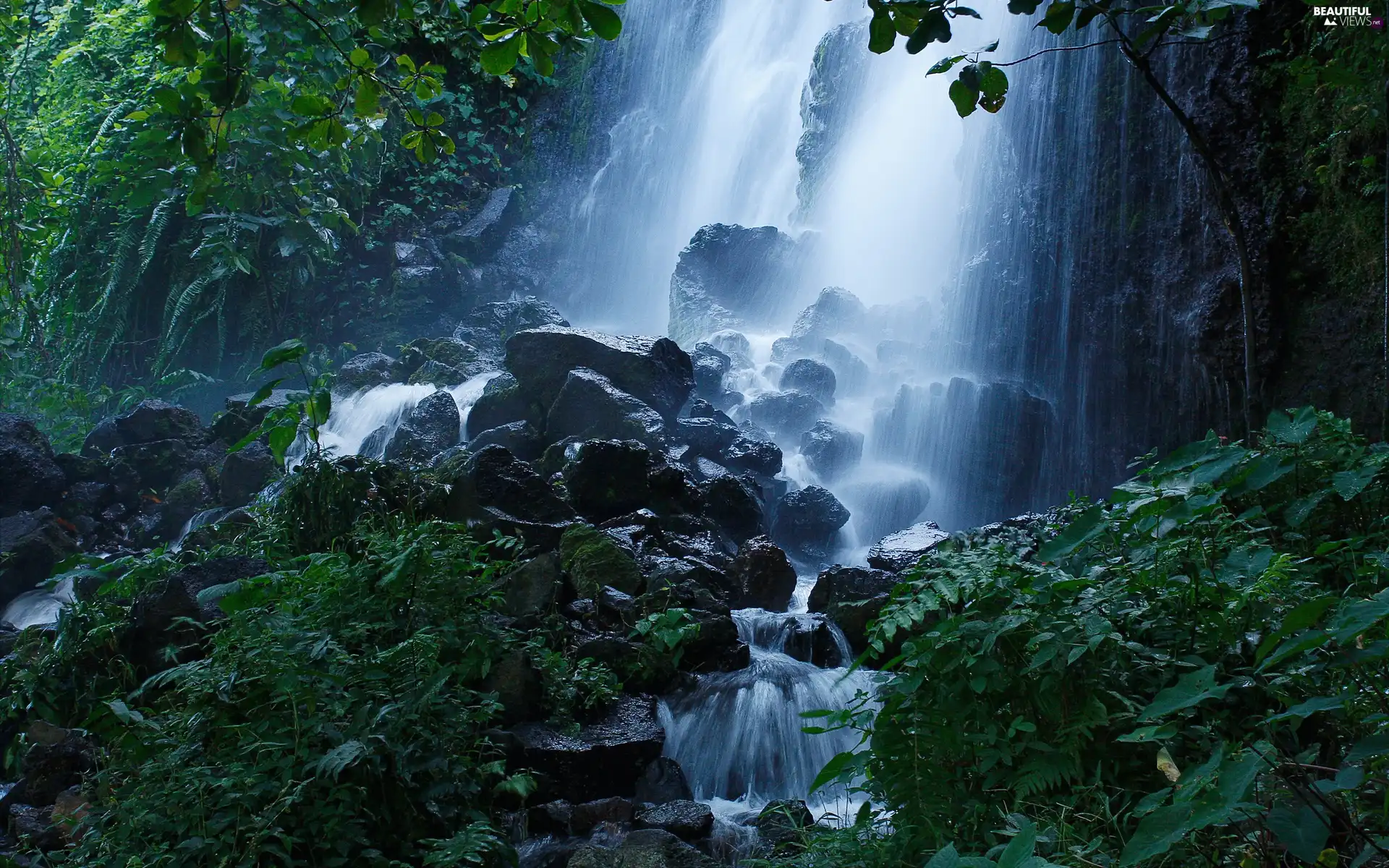 VEGETATION, waterfall, Green