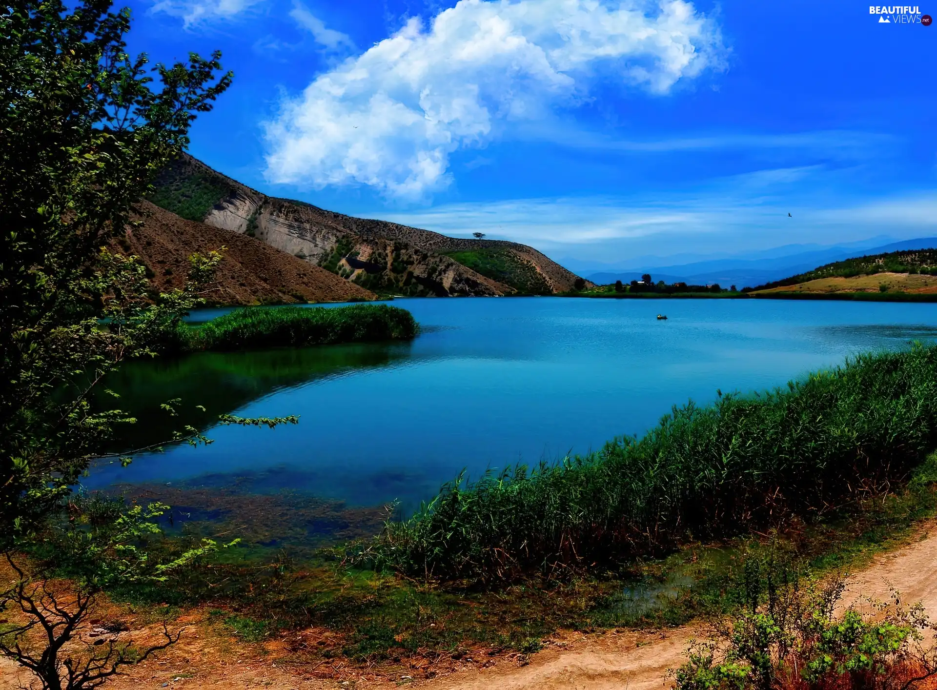 VEGETATION, lake, Mountains