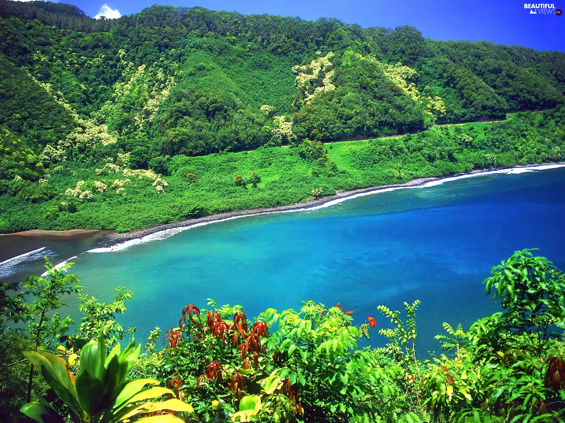 Mountains, sea, VEGETATION, Coast