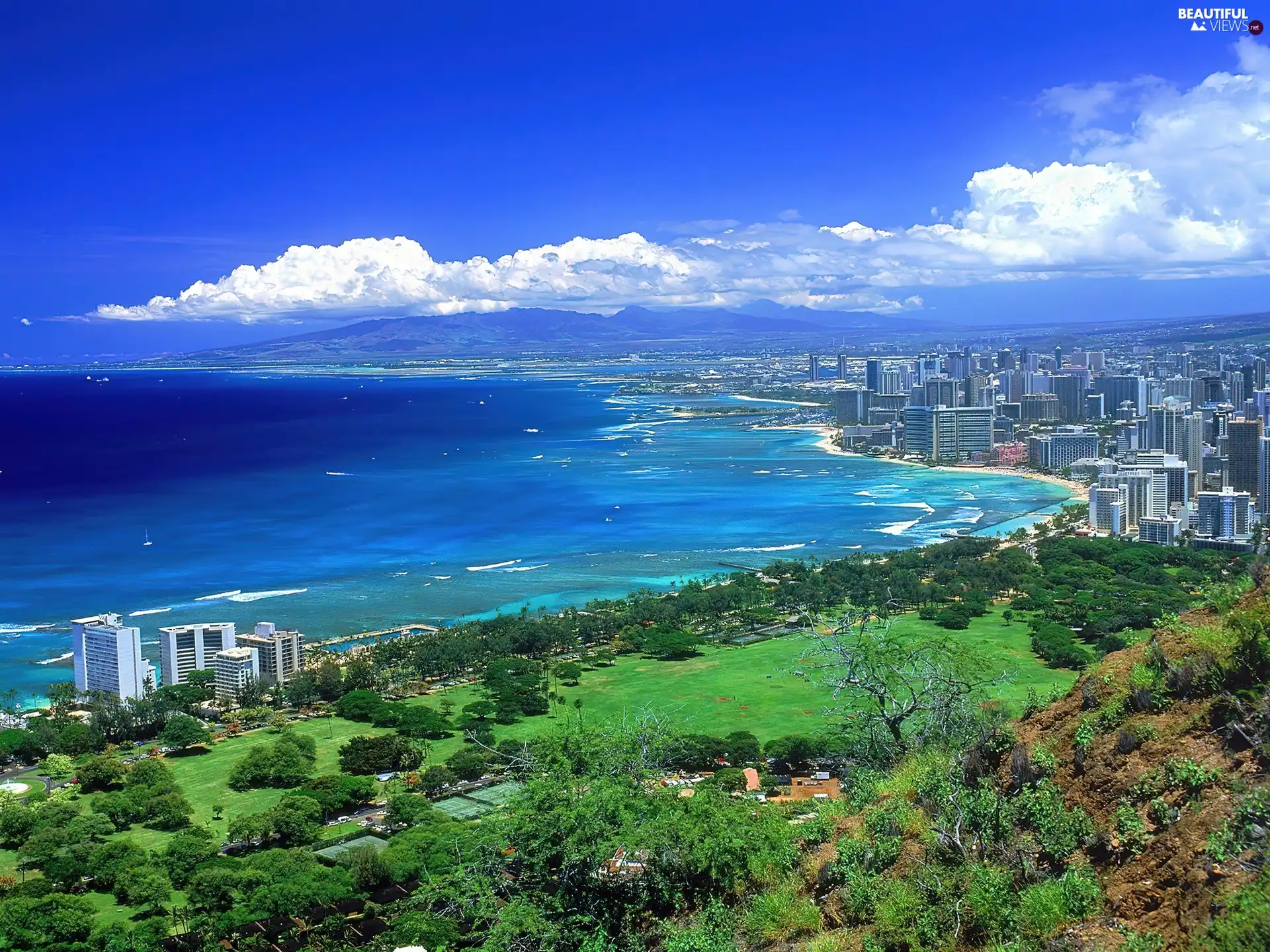 Ocean, quiet, Green, VEGETATION, Aloha State Hawaje