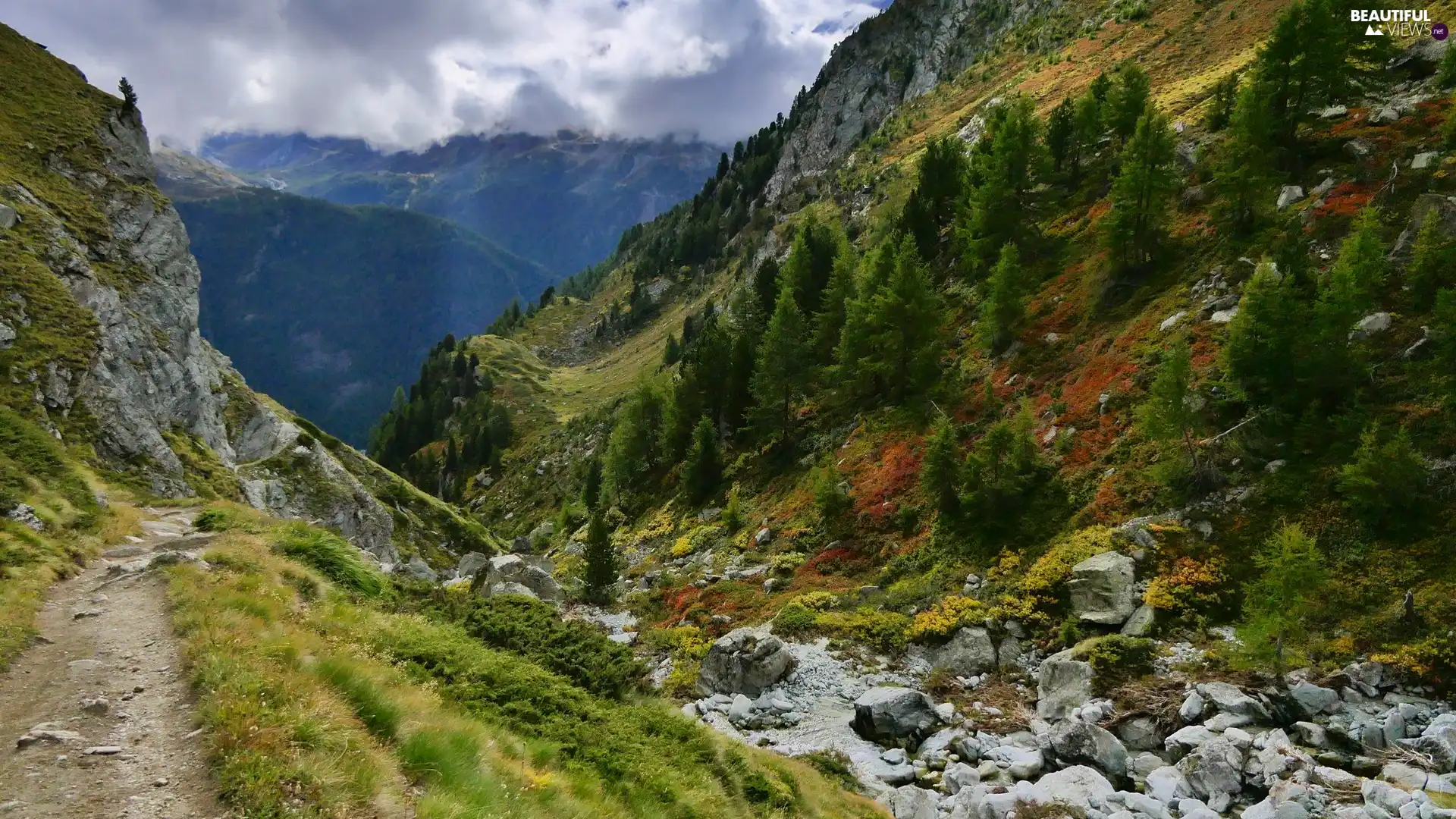 viewes, forest, Path, rocks, Stones, trees, Mountains, VEGETATION