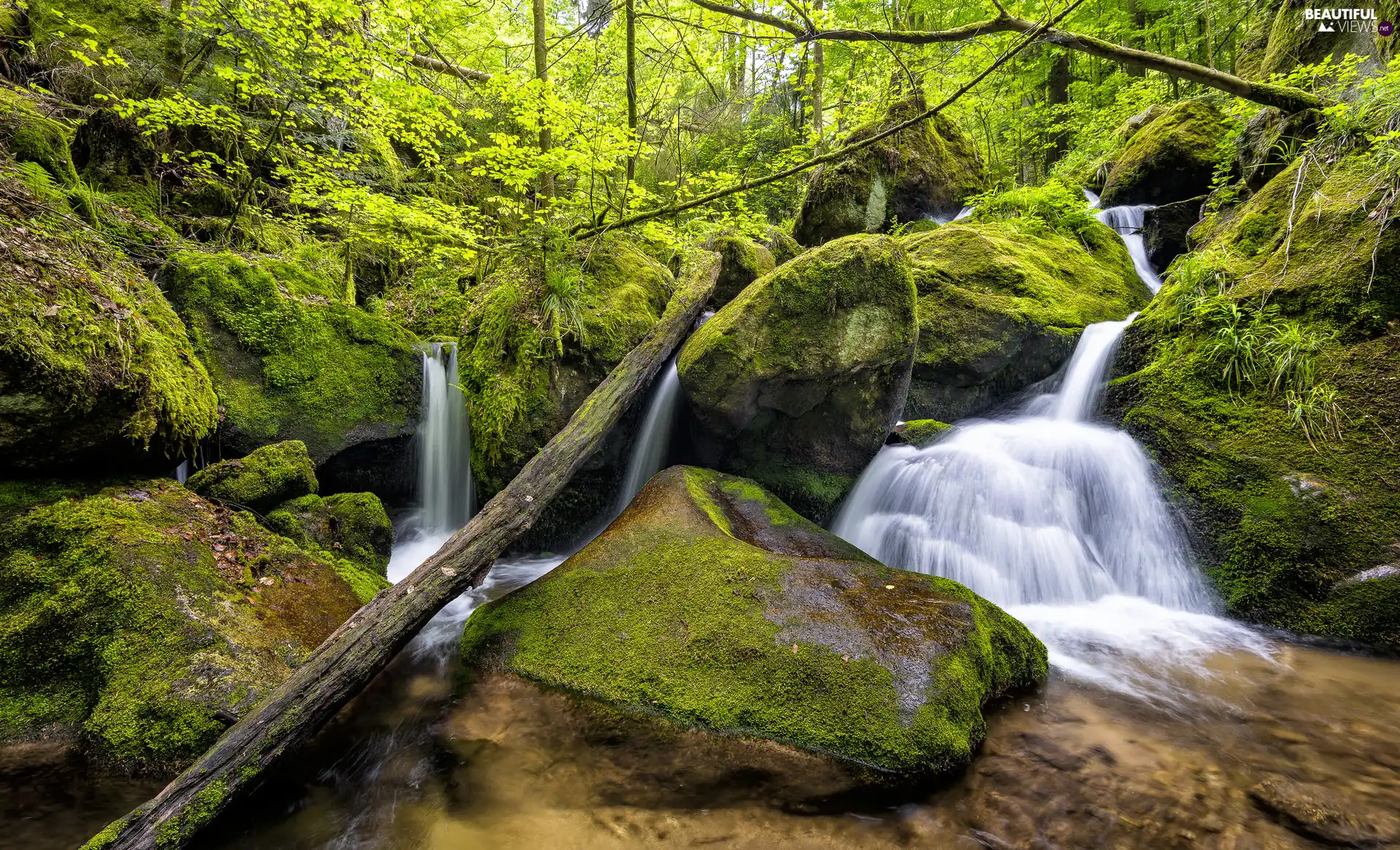 mossy, forest, Stones, VEGETATION, rocks, River