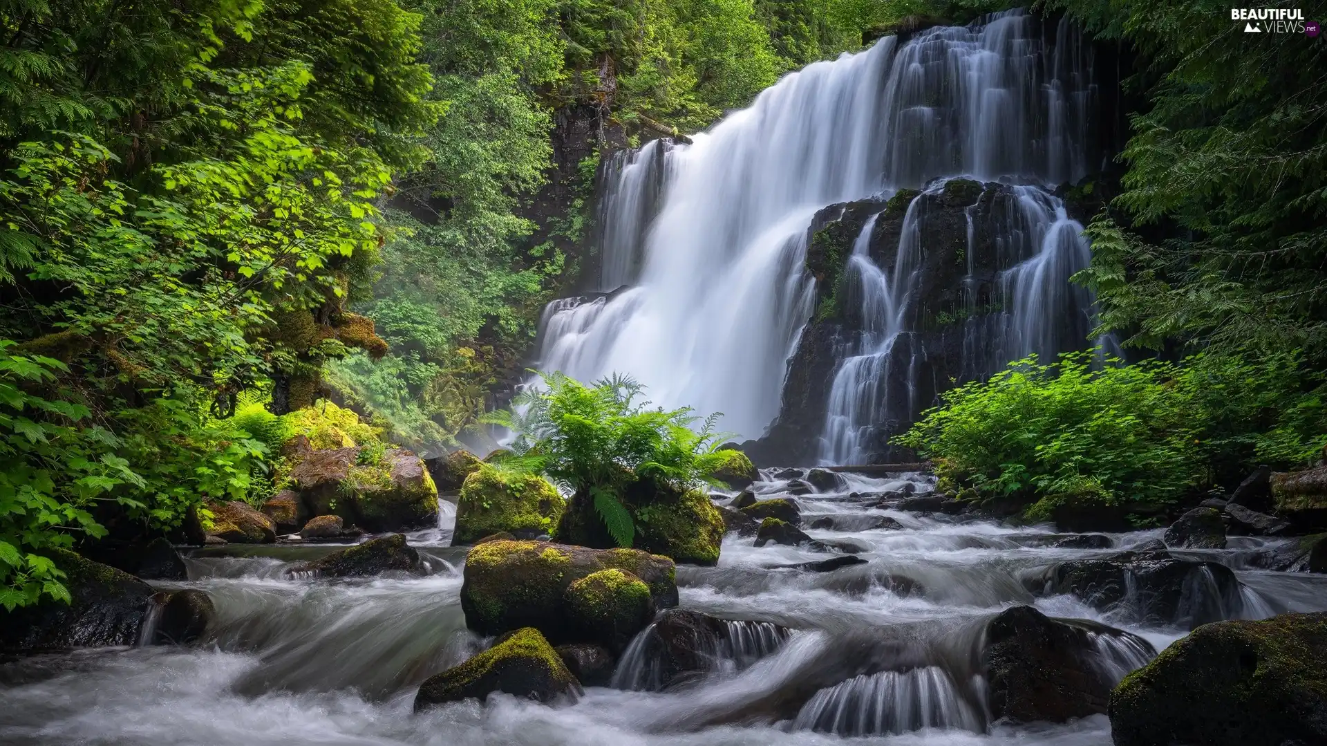 Stones, waterfall, viewes, VEGETATION, trees, River