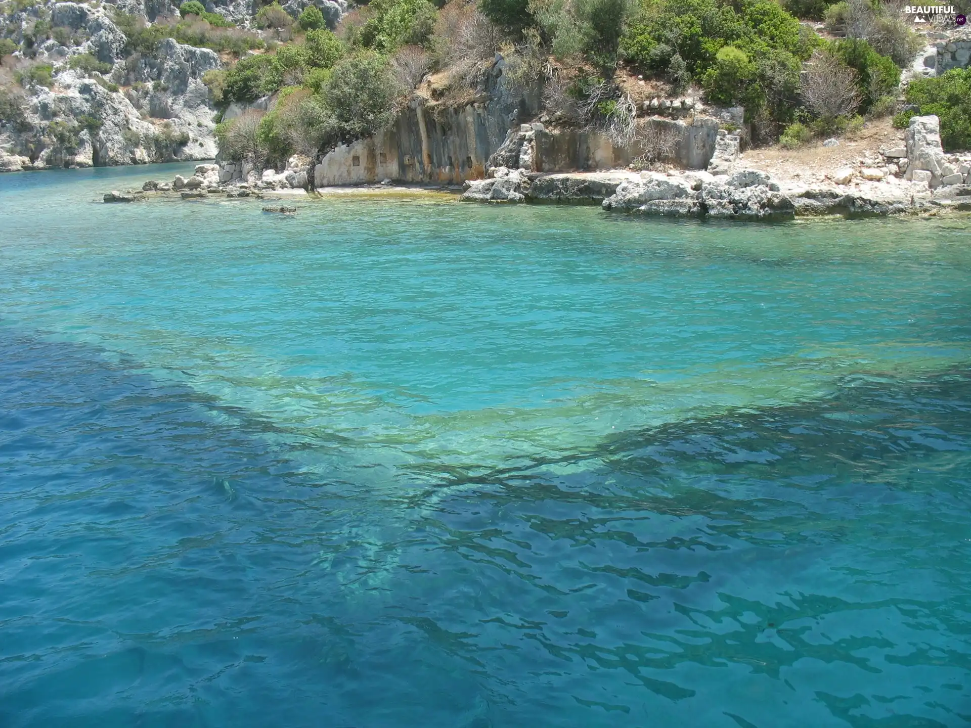 VEGETATION, lake, rocks