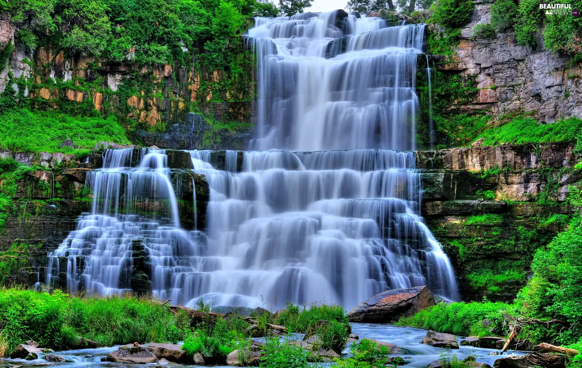 VEGETATION, waterfall, rocks