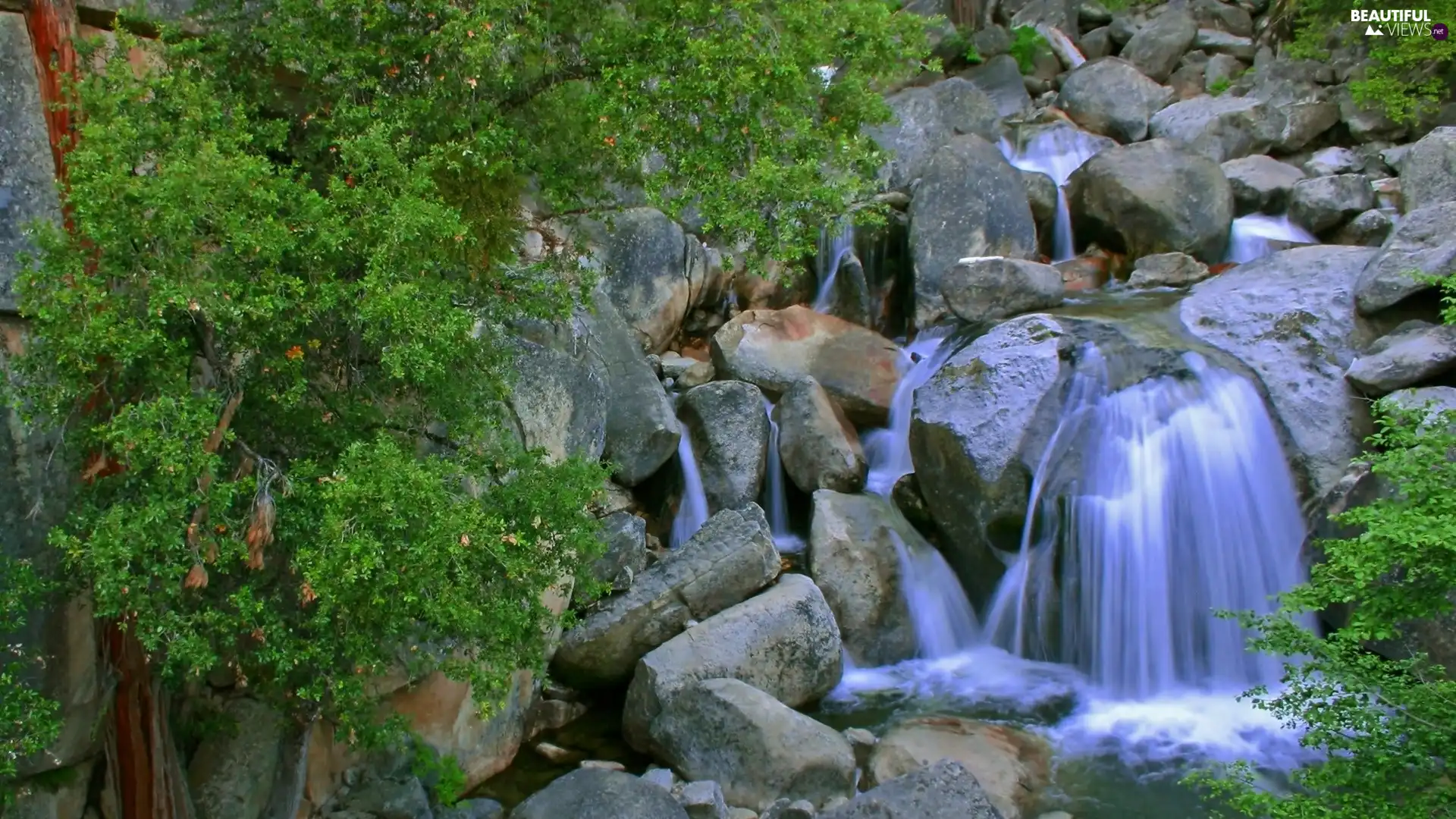 VEGETATION, waterfall, Stones