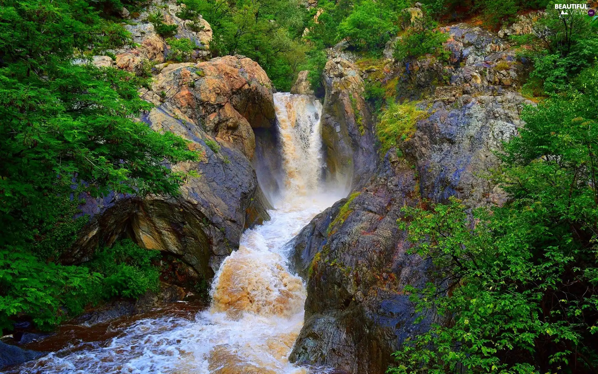 forest, VEGETATION, Stones, Rocks, waterfall