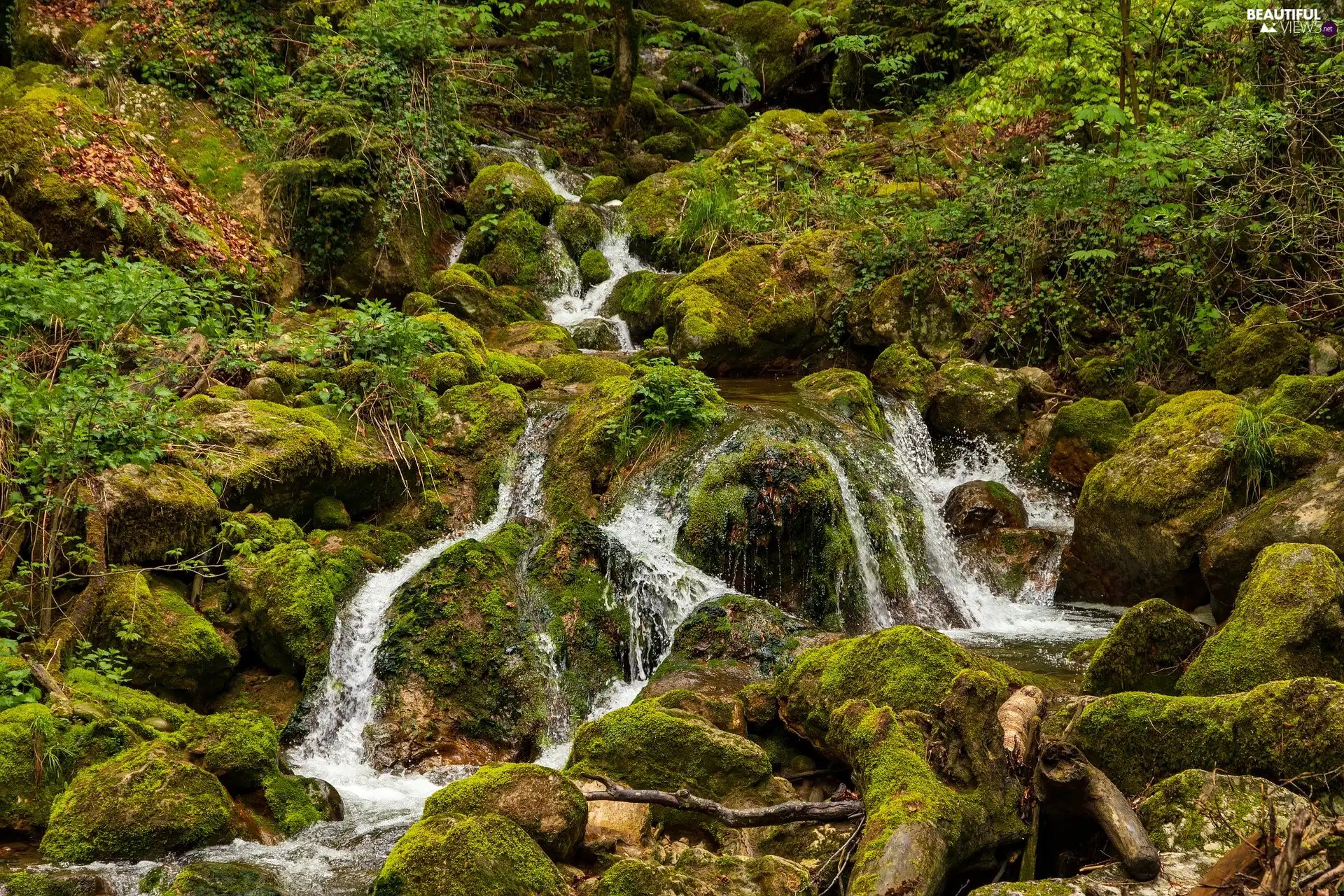 Stones, VEGETATION, stream, mossy, mountainous