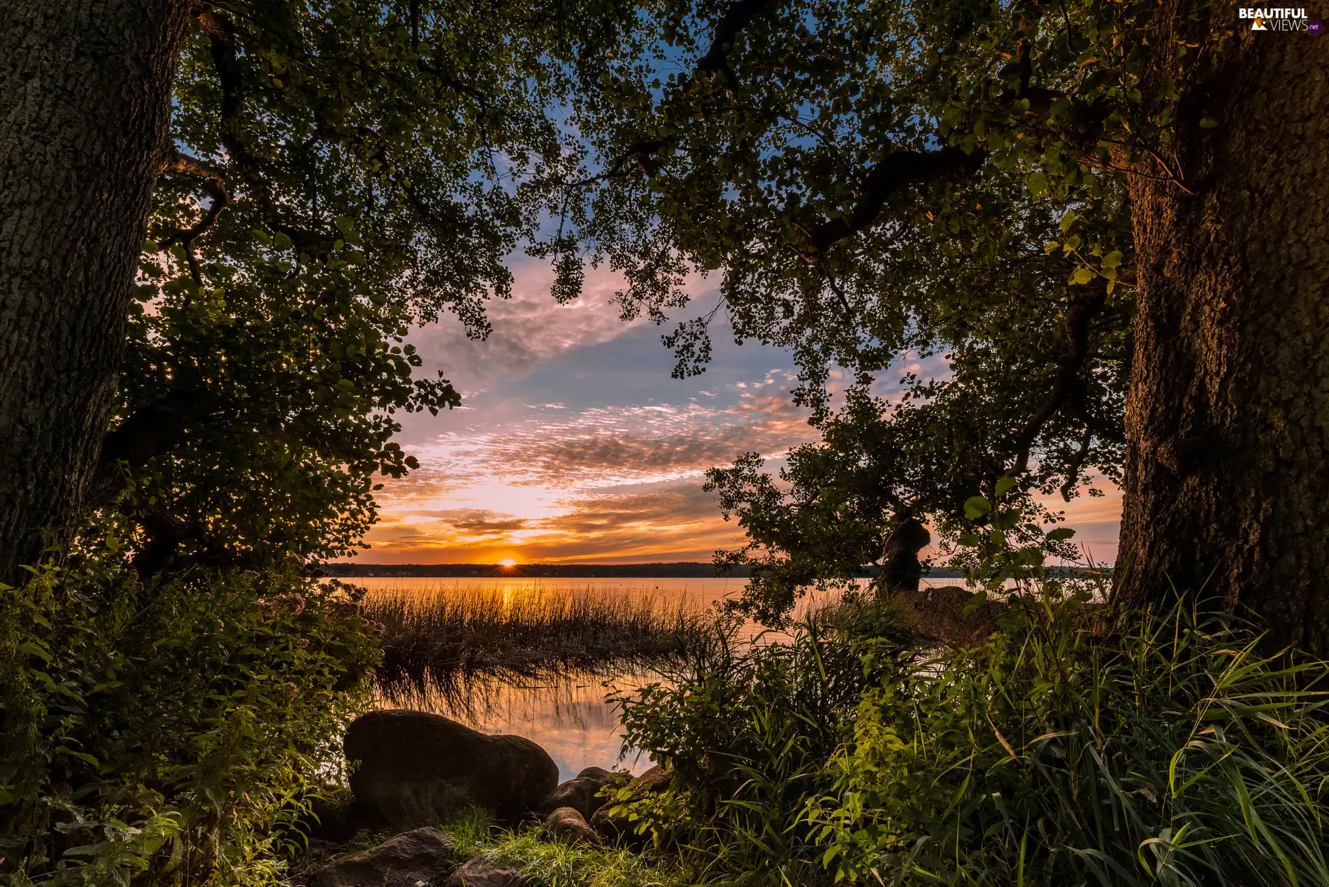 trees, Great Sunsets, VEGETATION, Stones, viewes, lake