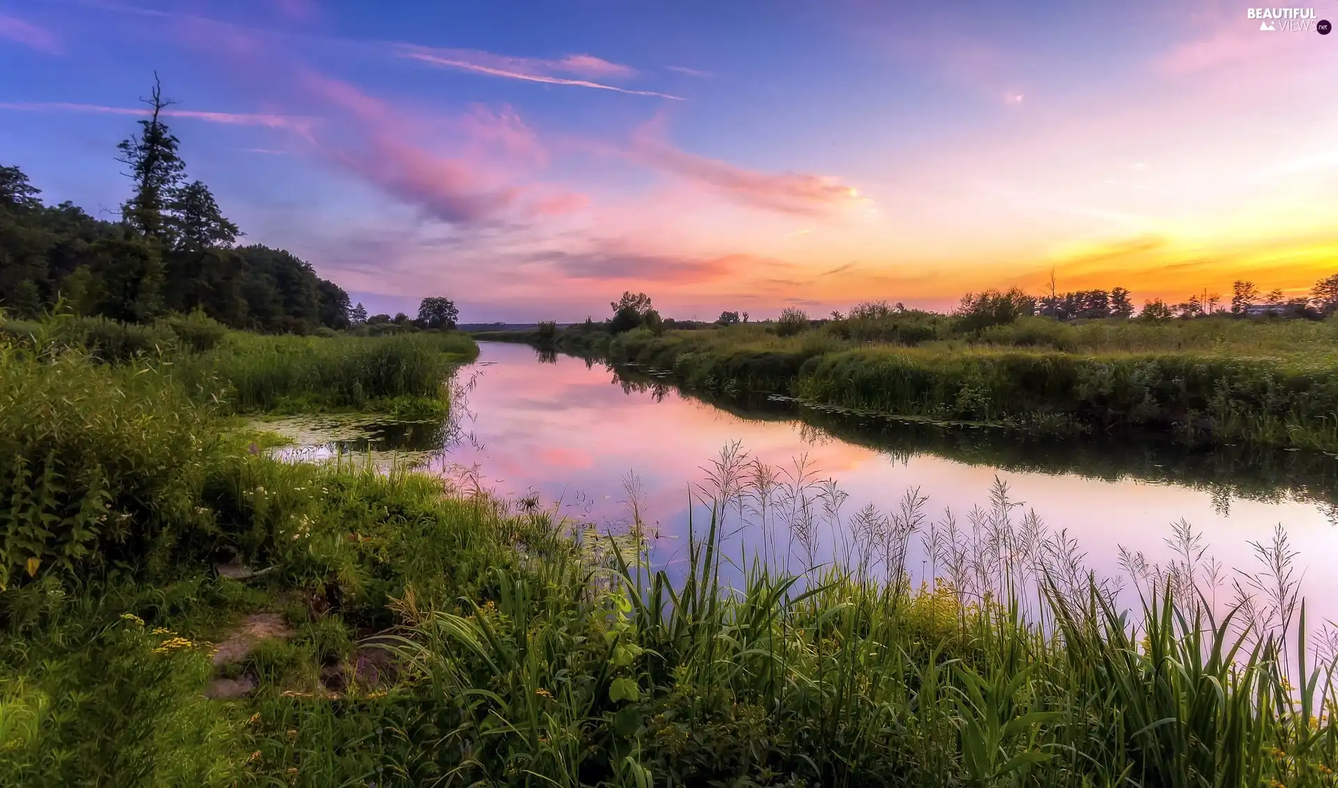 Sunrise, VEGETATION, trees, viewes, River