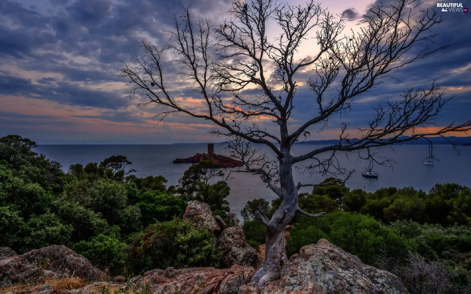 rocks, withered, twilight, trees, Boats, Islet, sea, VEGETATION