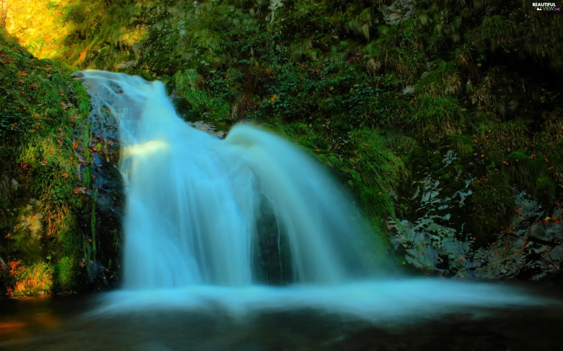 waterfall, VEGETATION