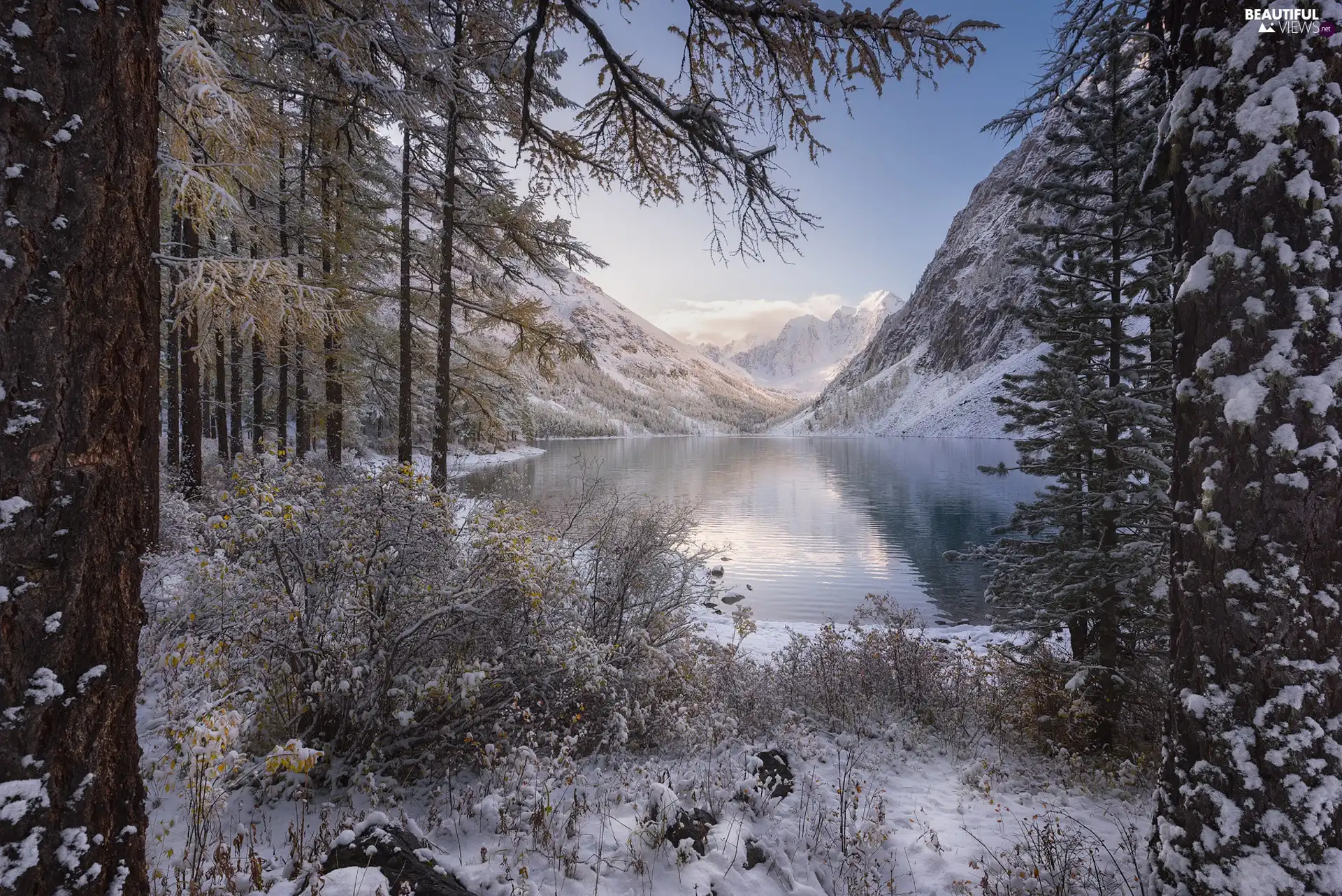 winter, Altai Mountains, snow, Szawlinskie Lake, viewes, Altai Republic, Russia, trees