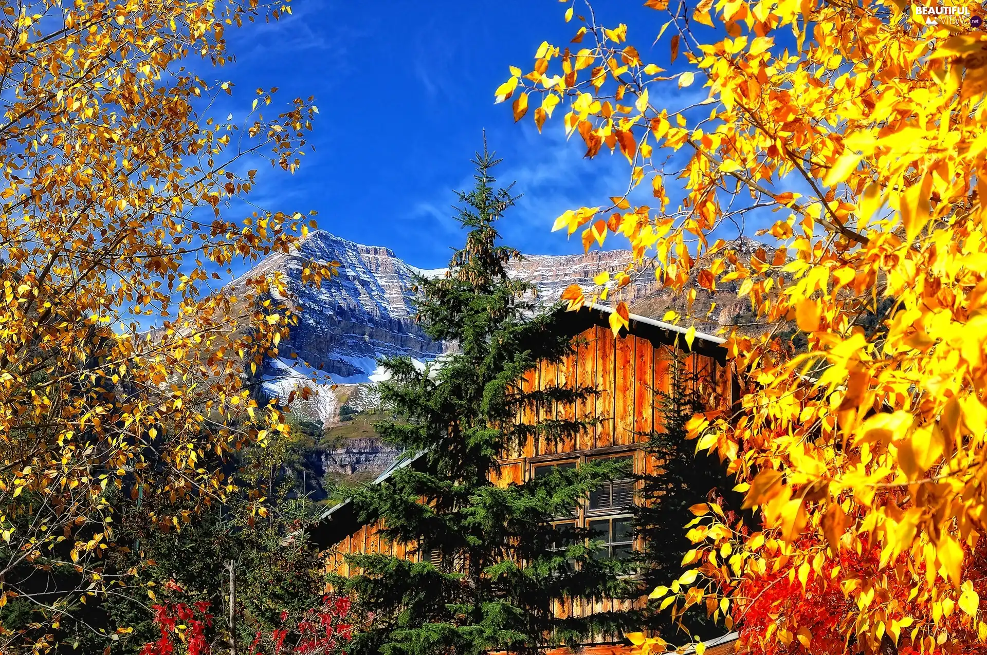 viewes, autumn, Mountains, trees, house