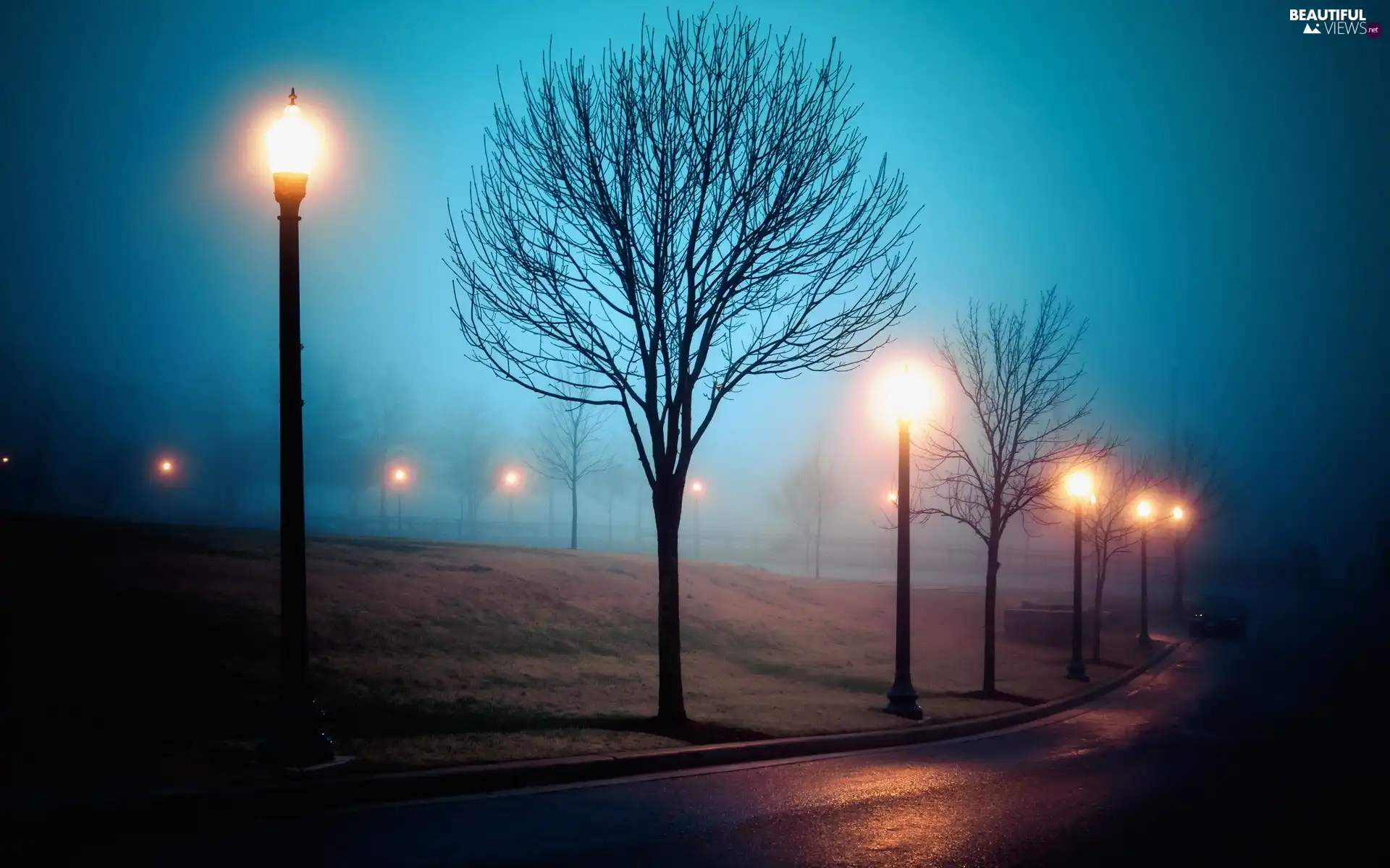trees, Automobile, Fog, lanterns, Way, viewes, autumn