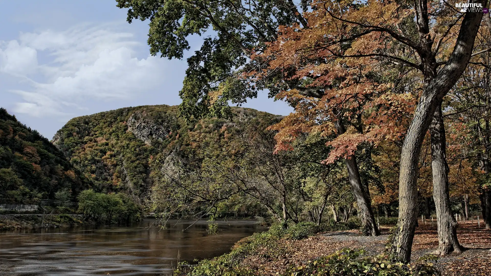 viewes, autumn, Mountains, trees, River