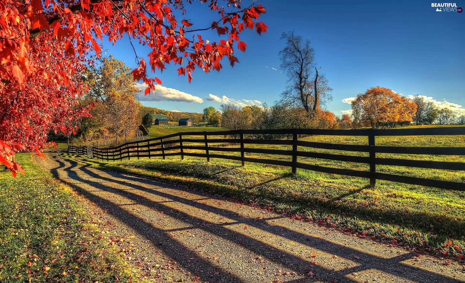 fence, Field, viewes, autumn, trees, Way