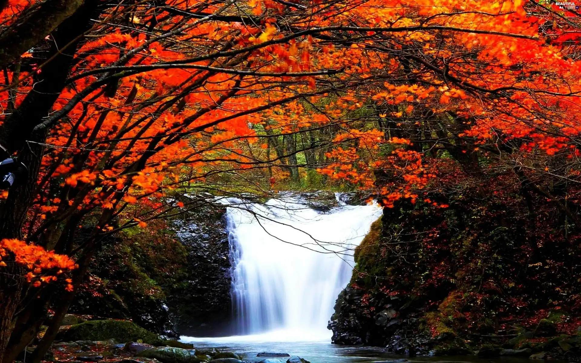 autumn, trees, viewes, waterfall