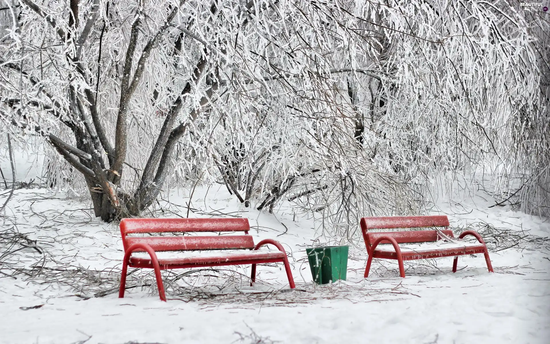 viewes, bench, frosty, trees, Park