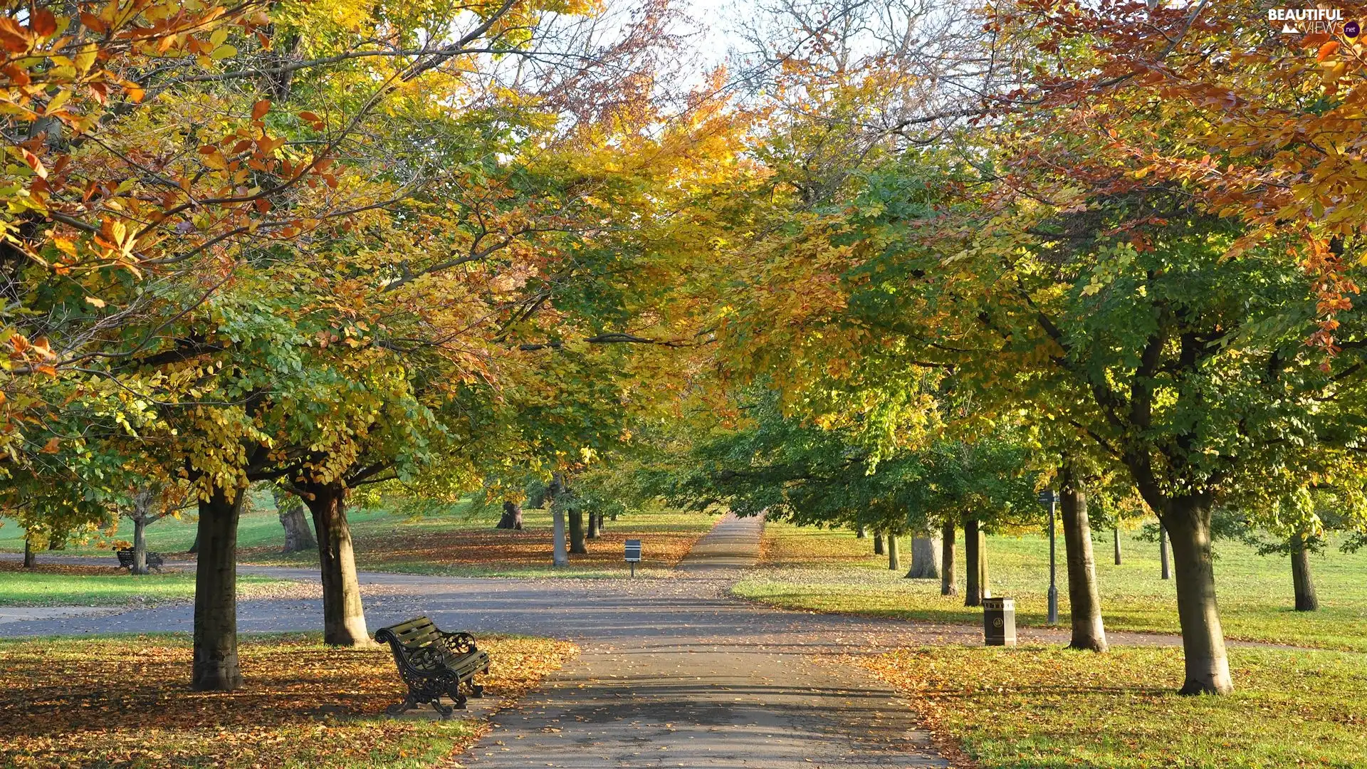 color, autumn, viewes, bench, trees, Park