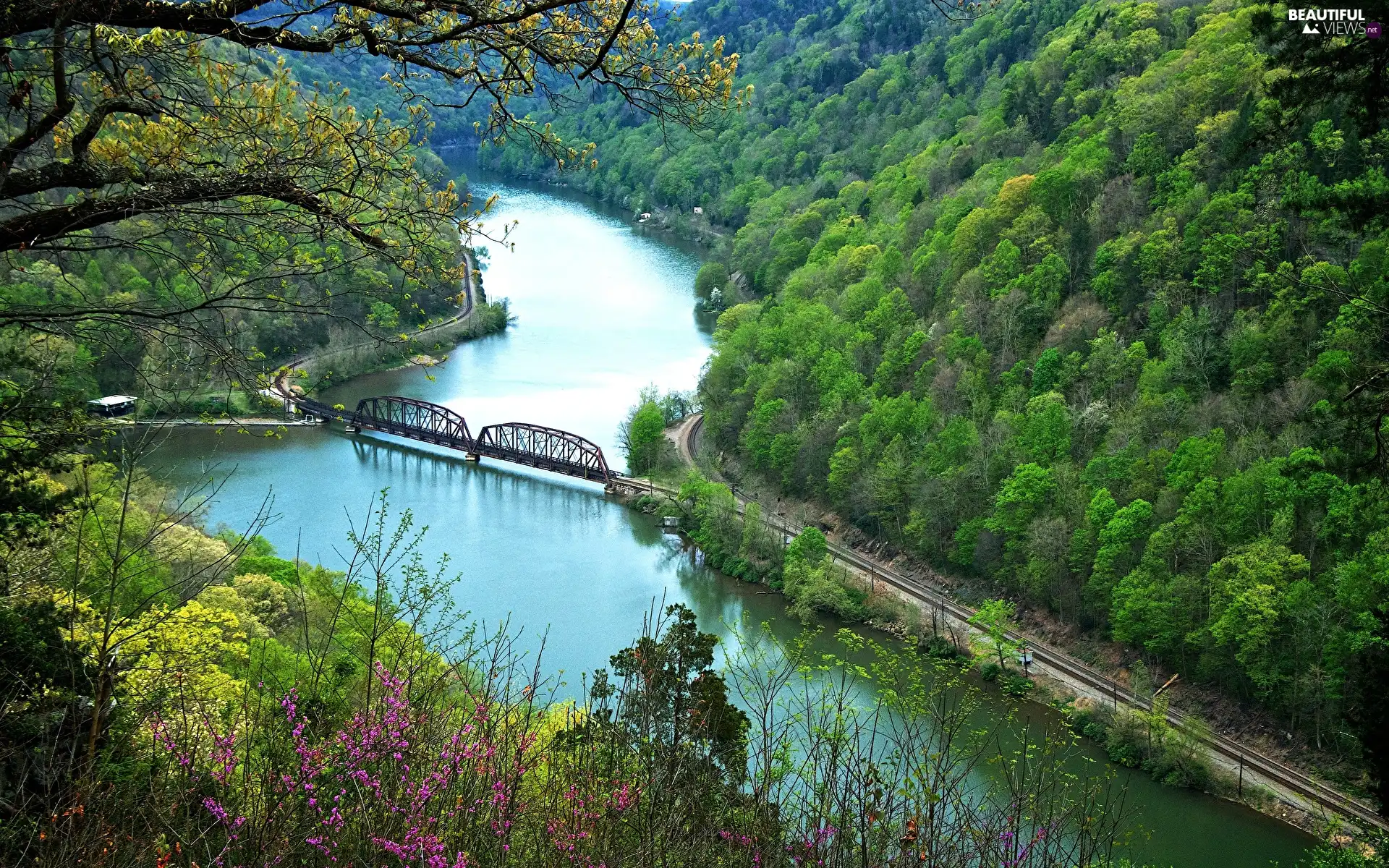 green ones, bridge, trees, Mountains, River, woods, viewes