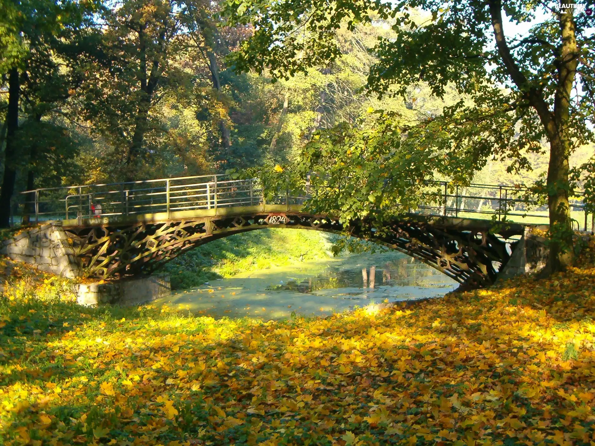 bridge, trees, viewes, autumn