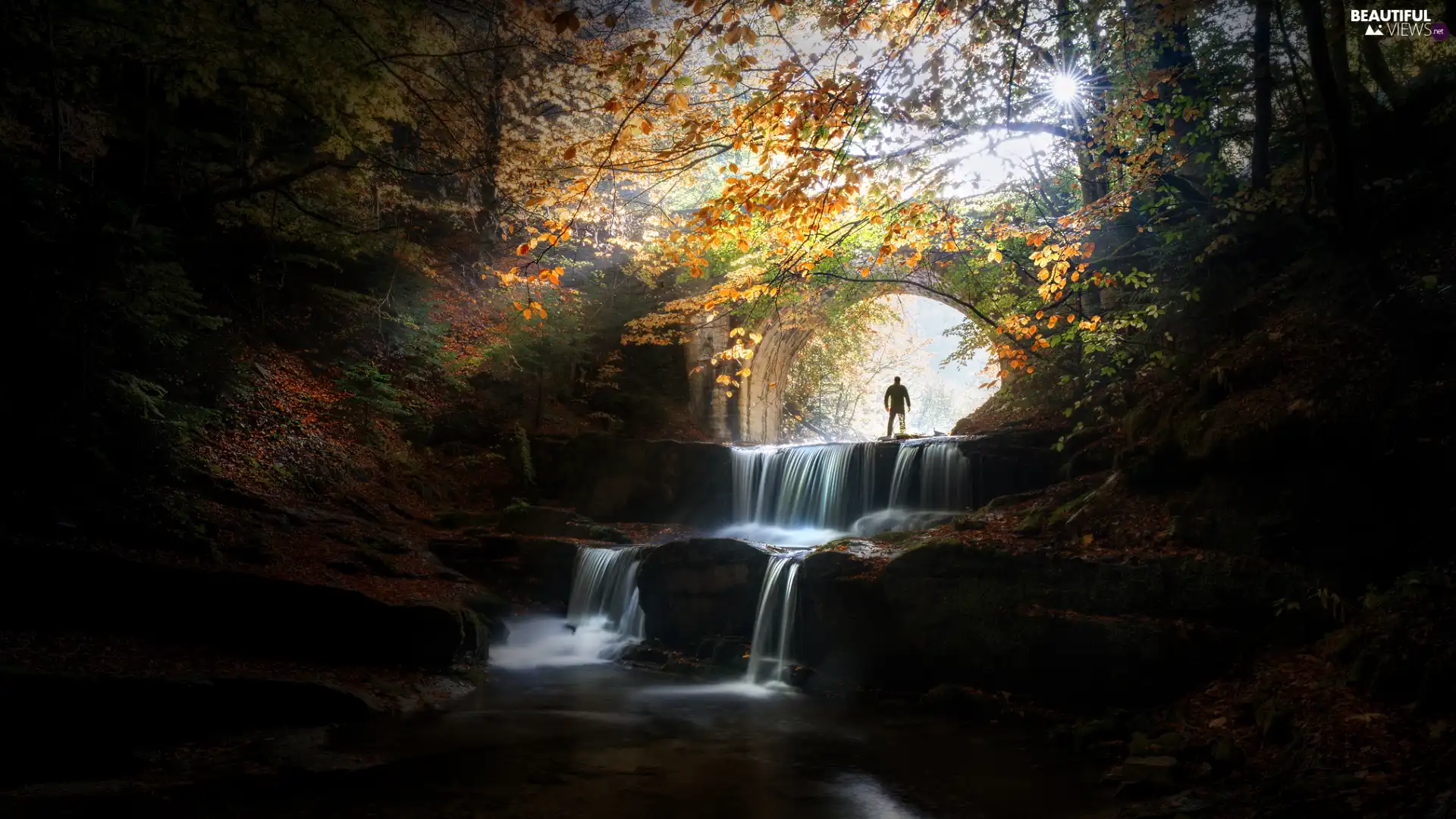 Rocks, trees, bridge, viewes, forest, waterfall, Human
