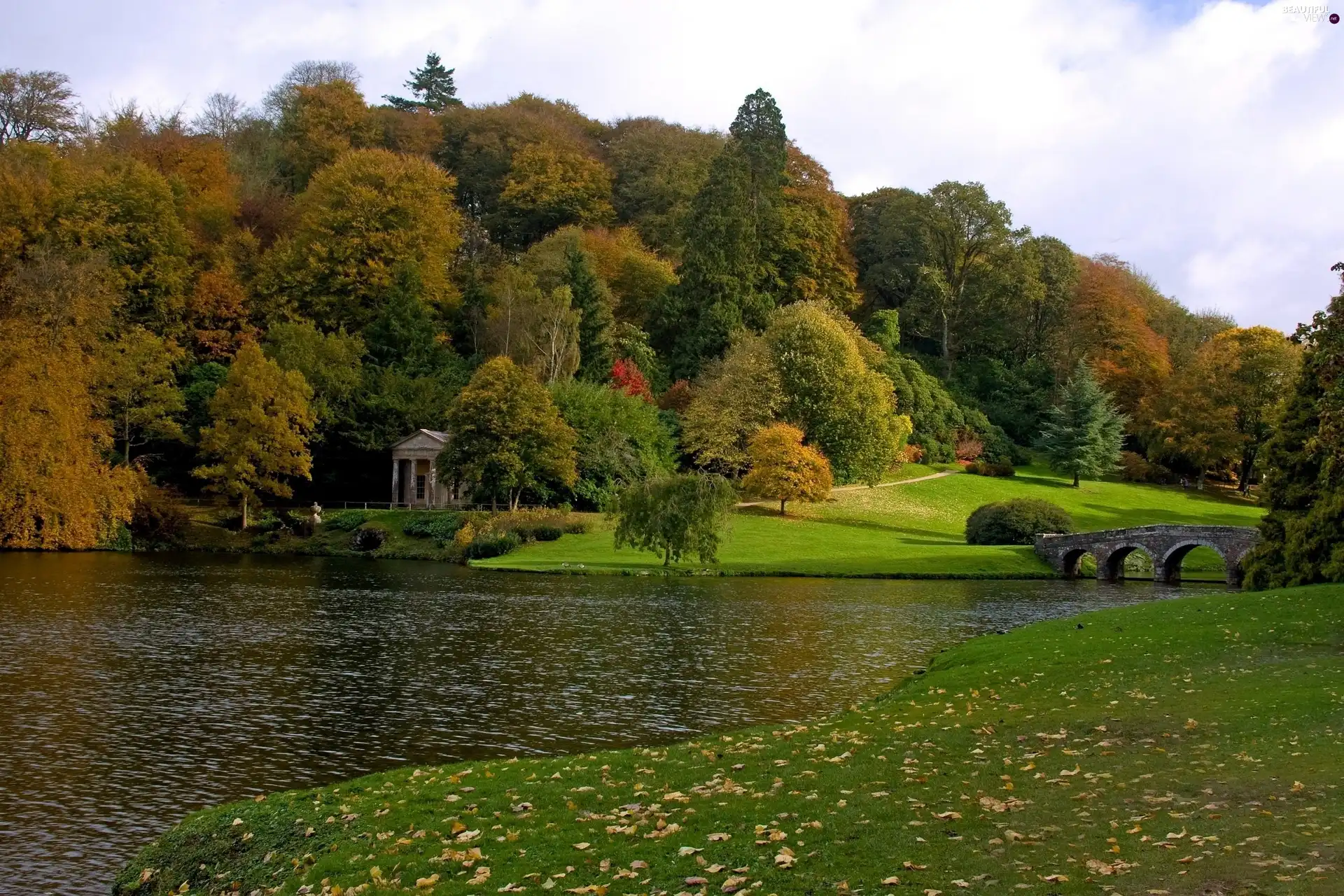 viewes, bridges, River, trees, autumn