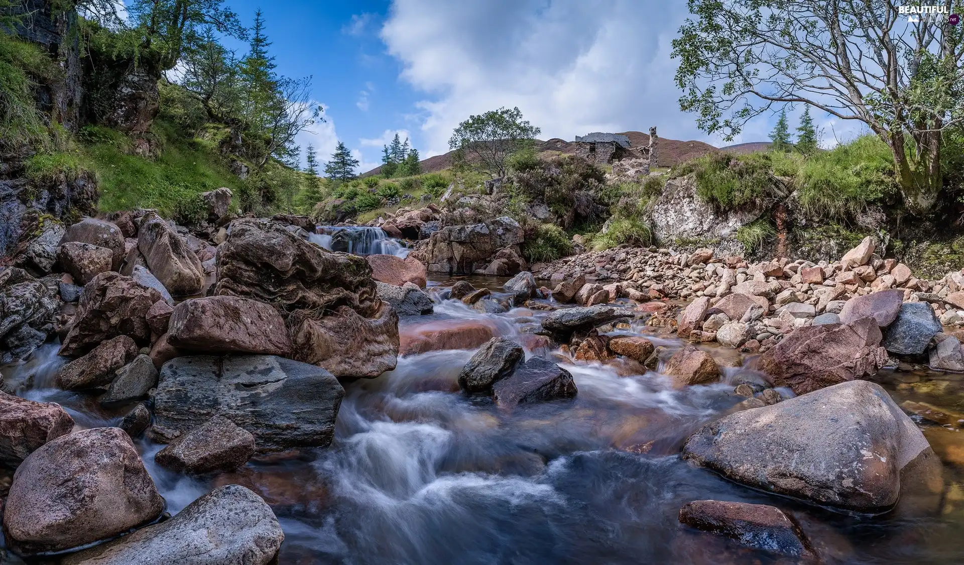 trees, viewes, brook, stream, Stones