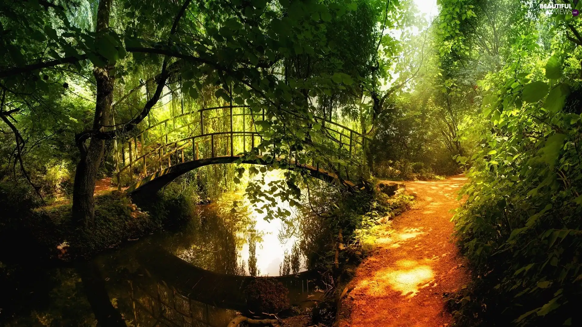 brook, trees, viewes, bridges